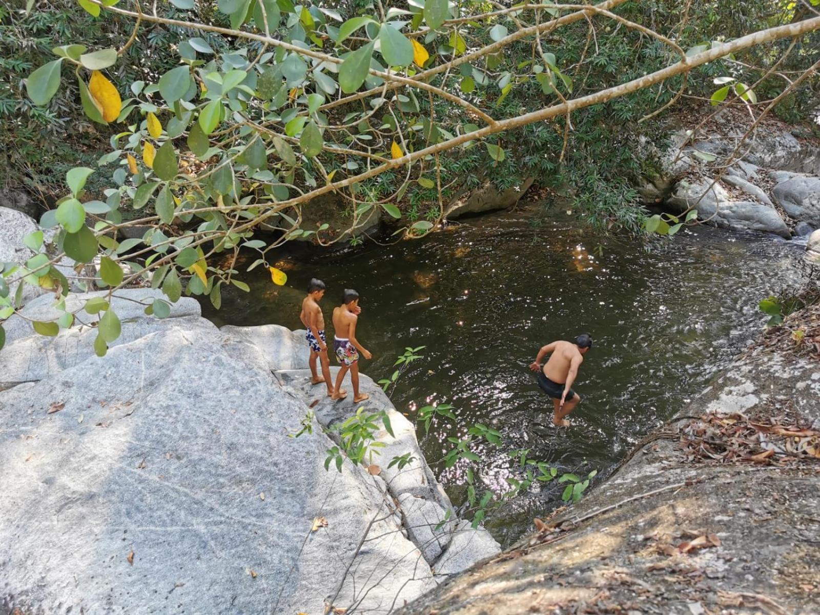 Sierra Jungla