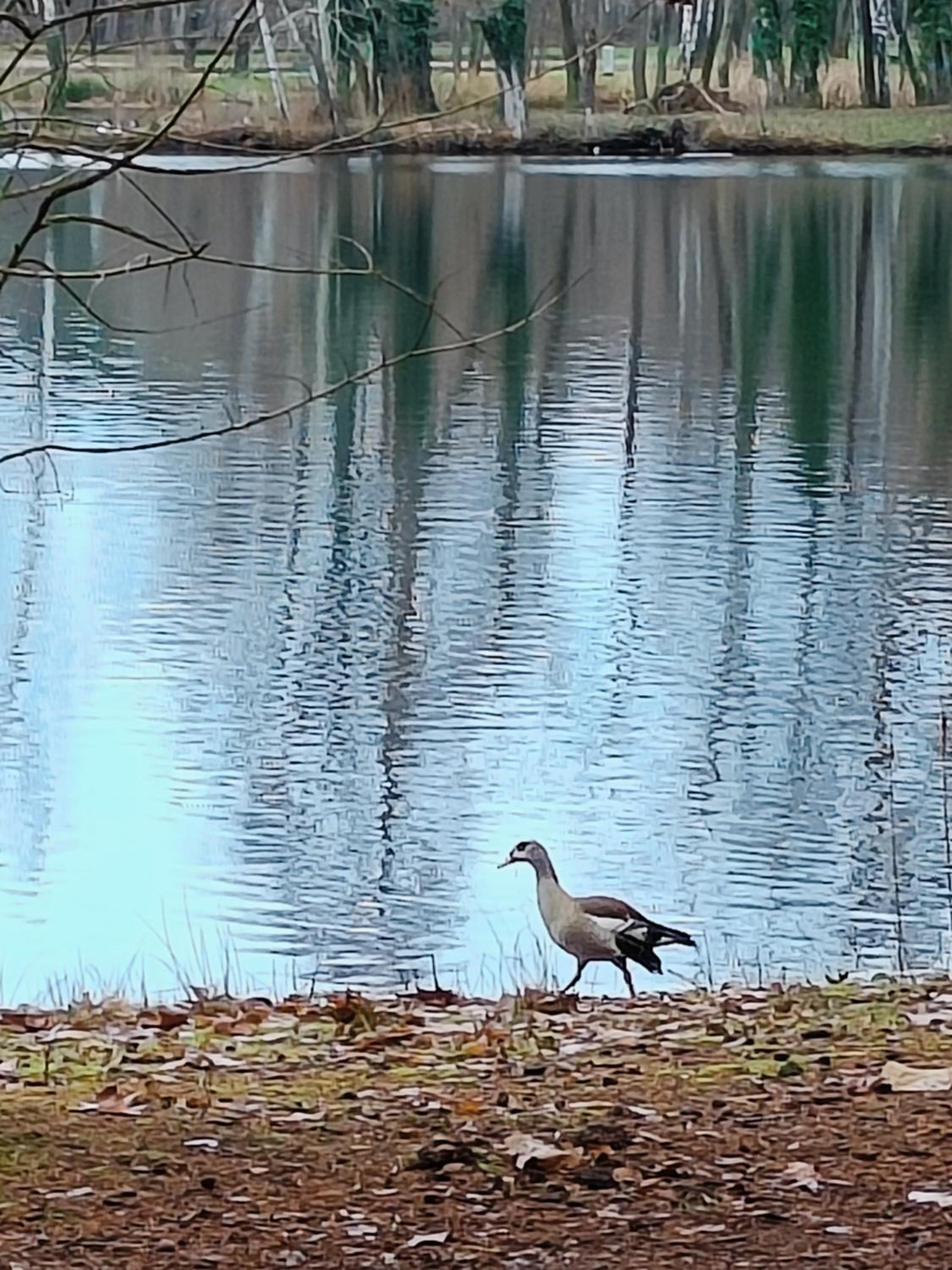 Molière
