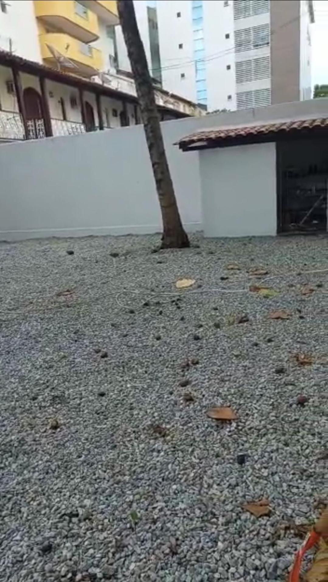 Casa Ampla no Braga
