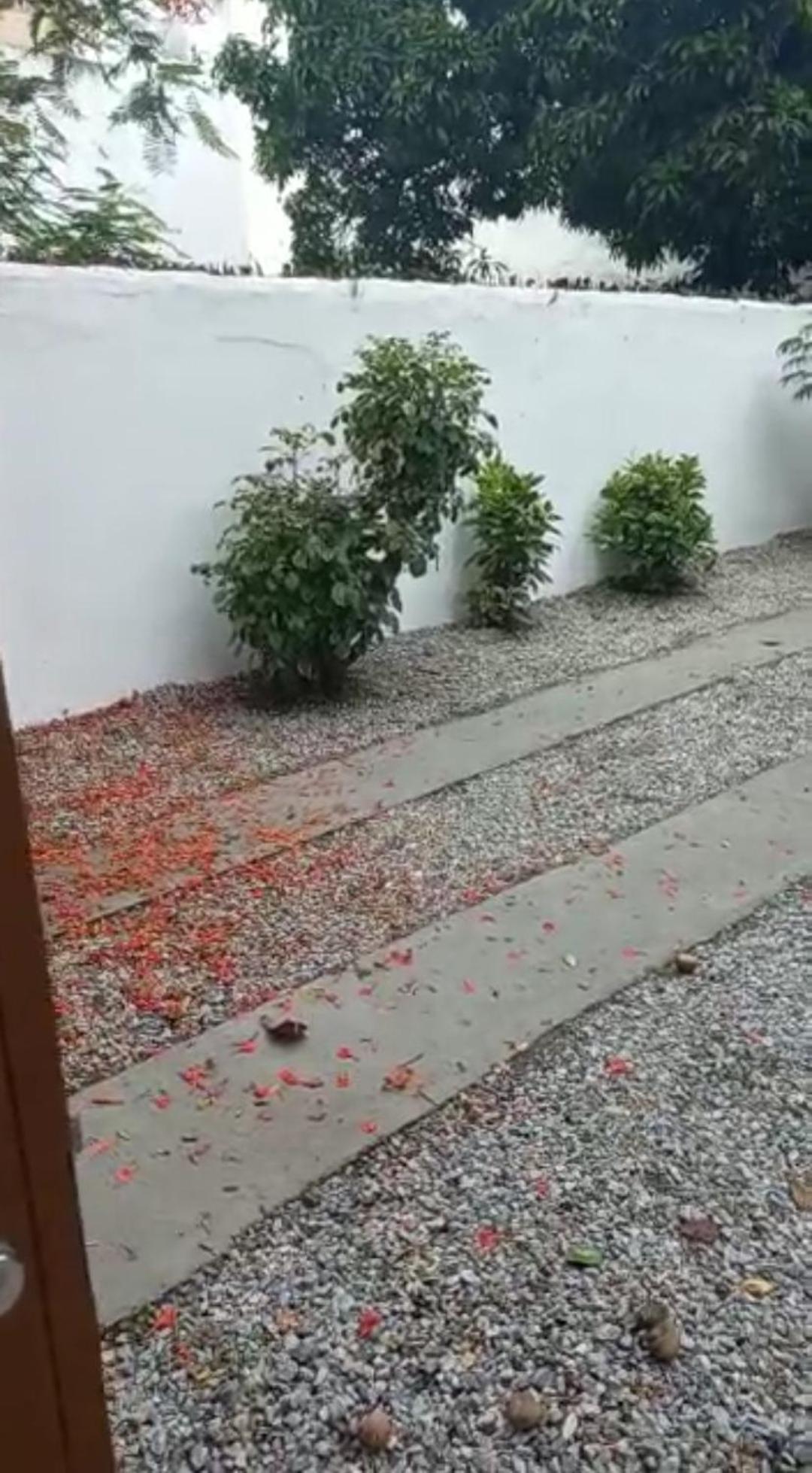 Casa Ampla no Braga