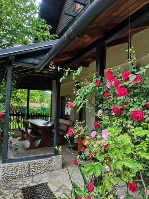 Silva Cabin Bran next to Dracula's Castle with free parking view 2