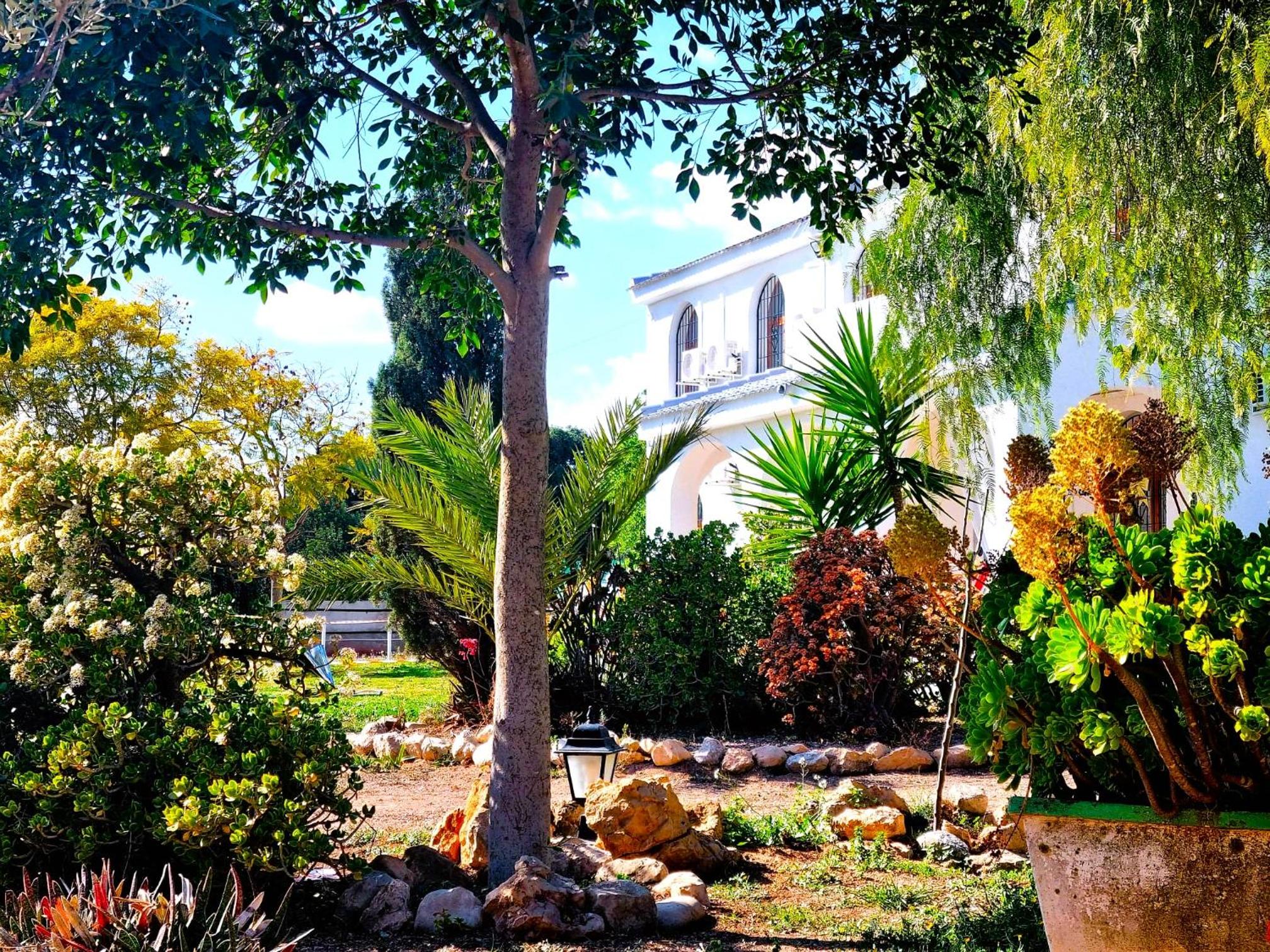 White Paradise Villa - Sol y Luz - by SunCastle apartamentos photo 3