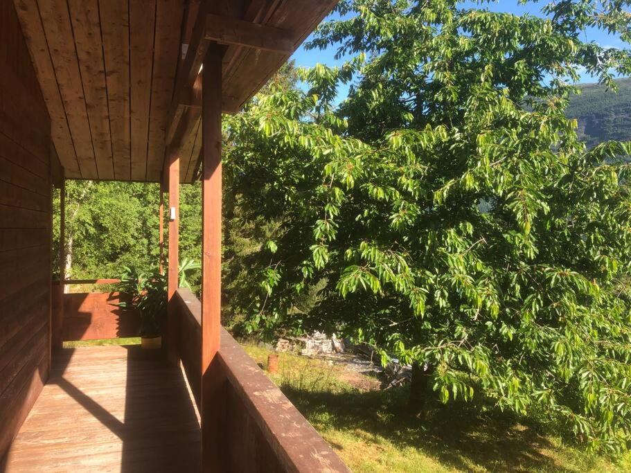 Photo 18