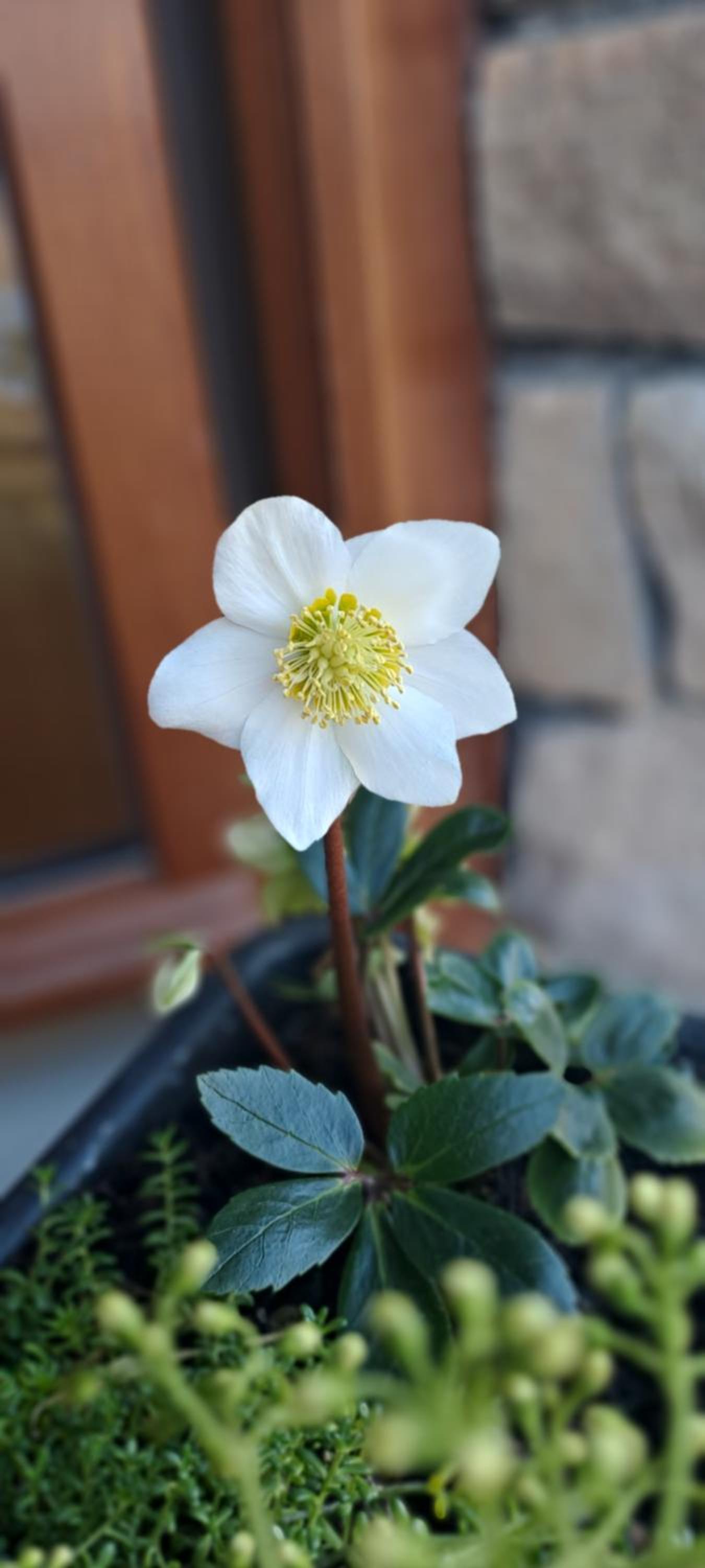 Un air de bourlingueurs