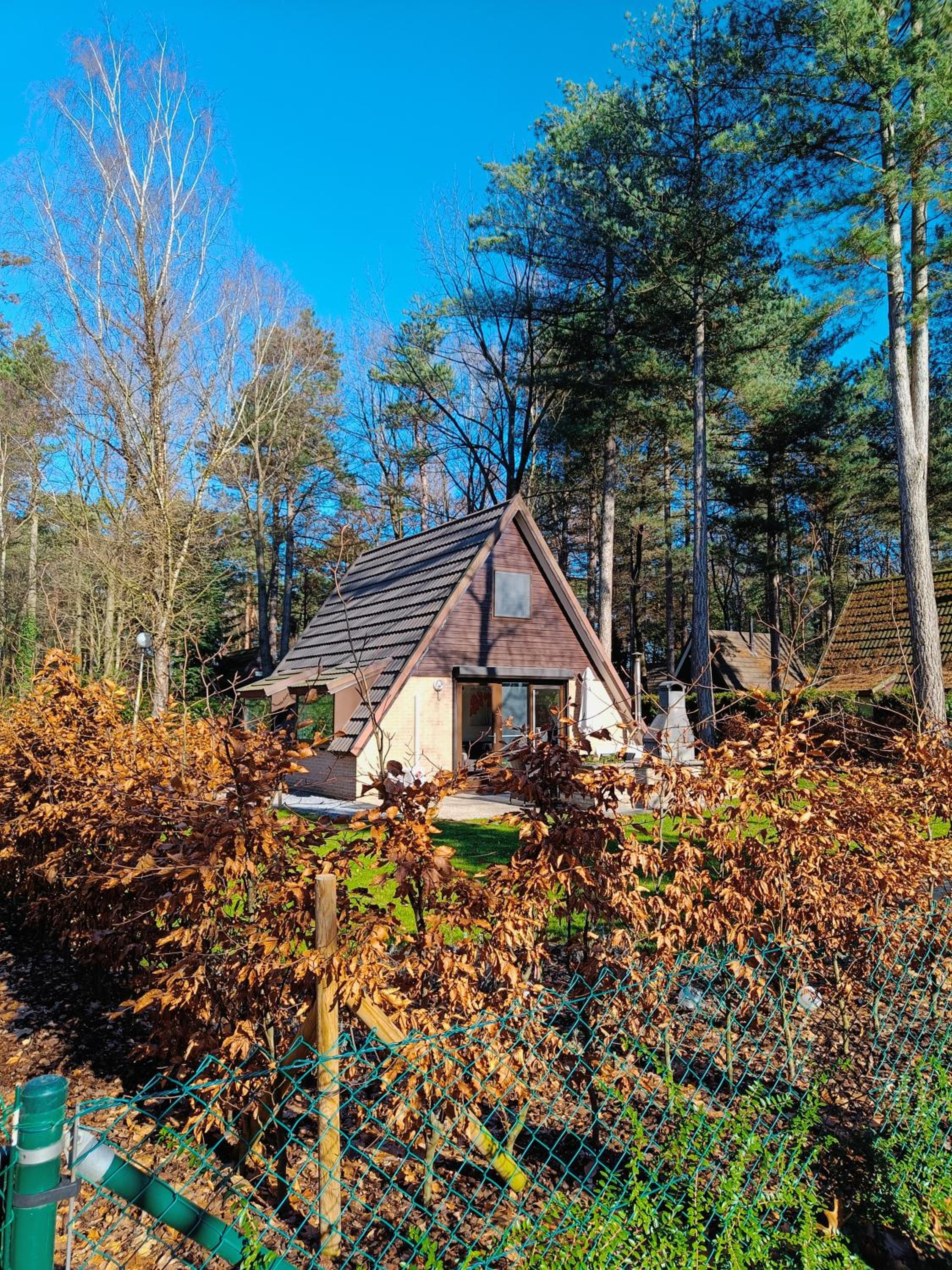 Lauwie 14