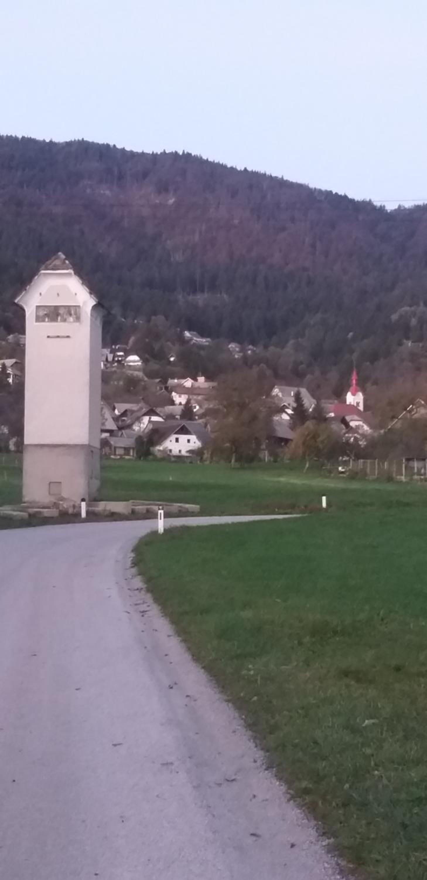 Photo 42