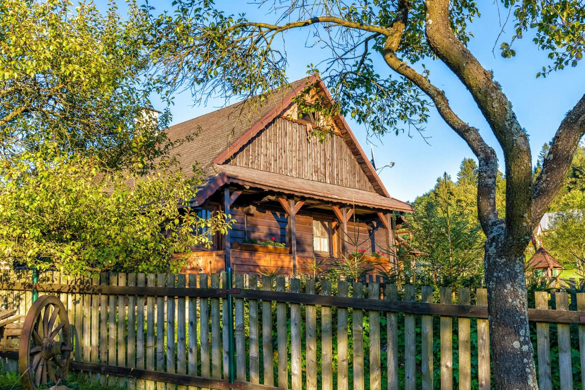 Photo 29