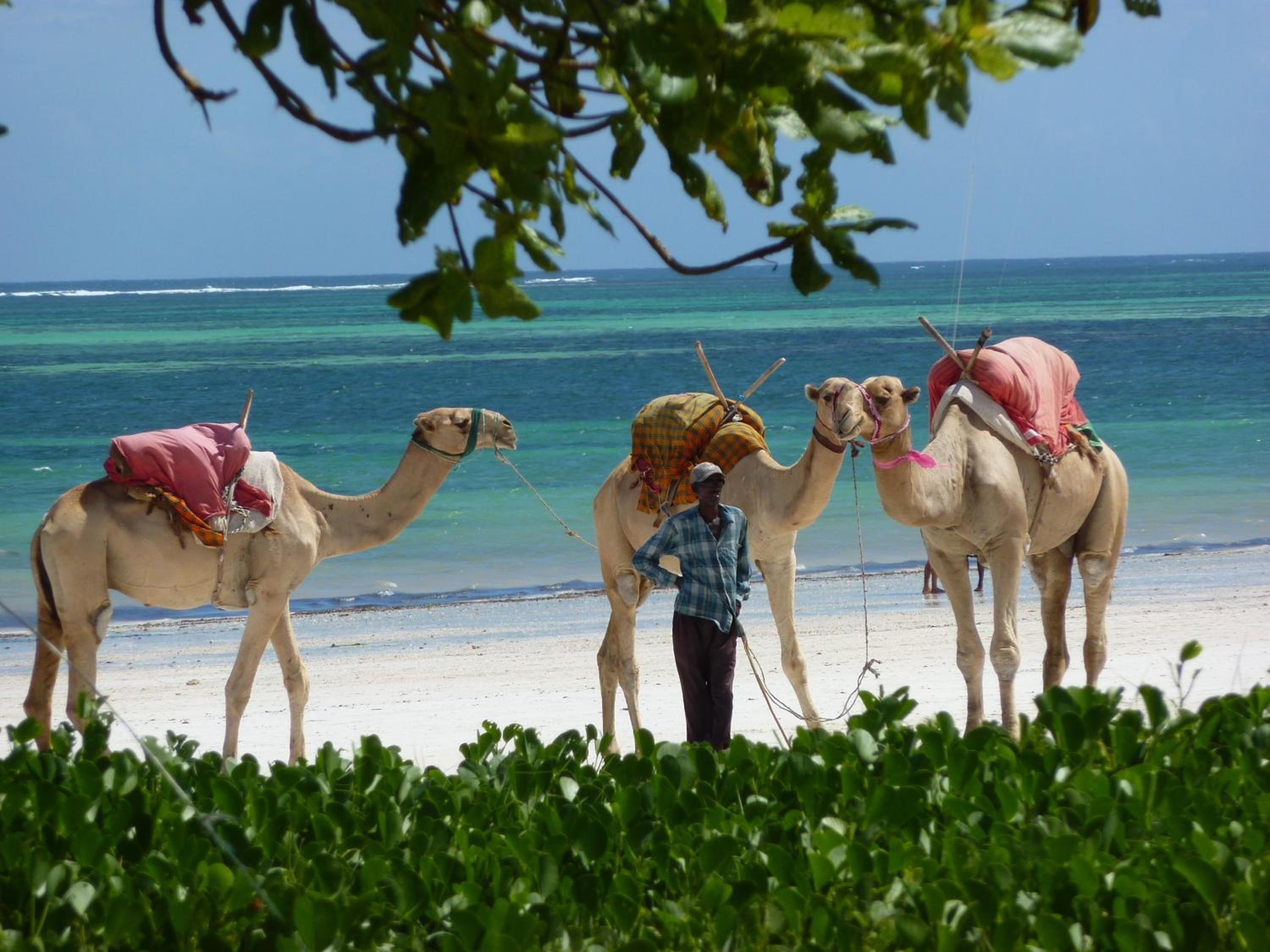 Lantana Galu Beach
