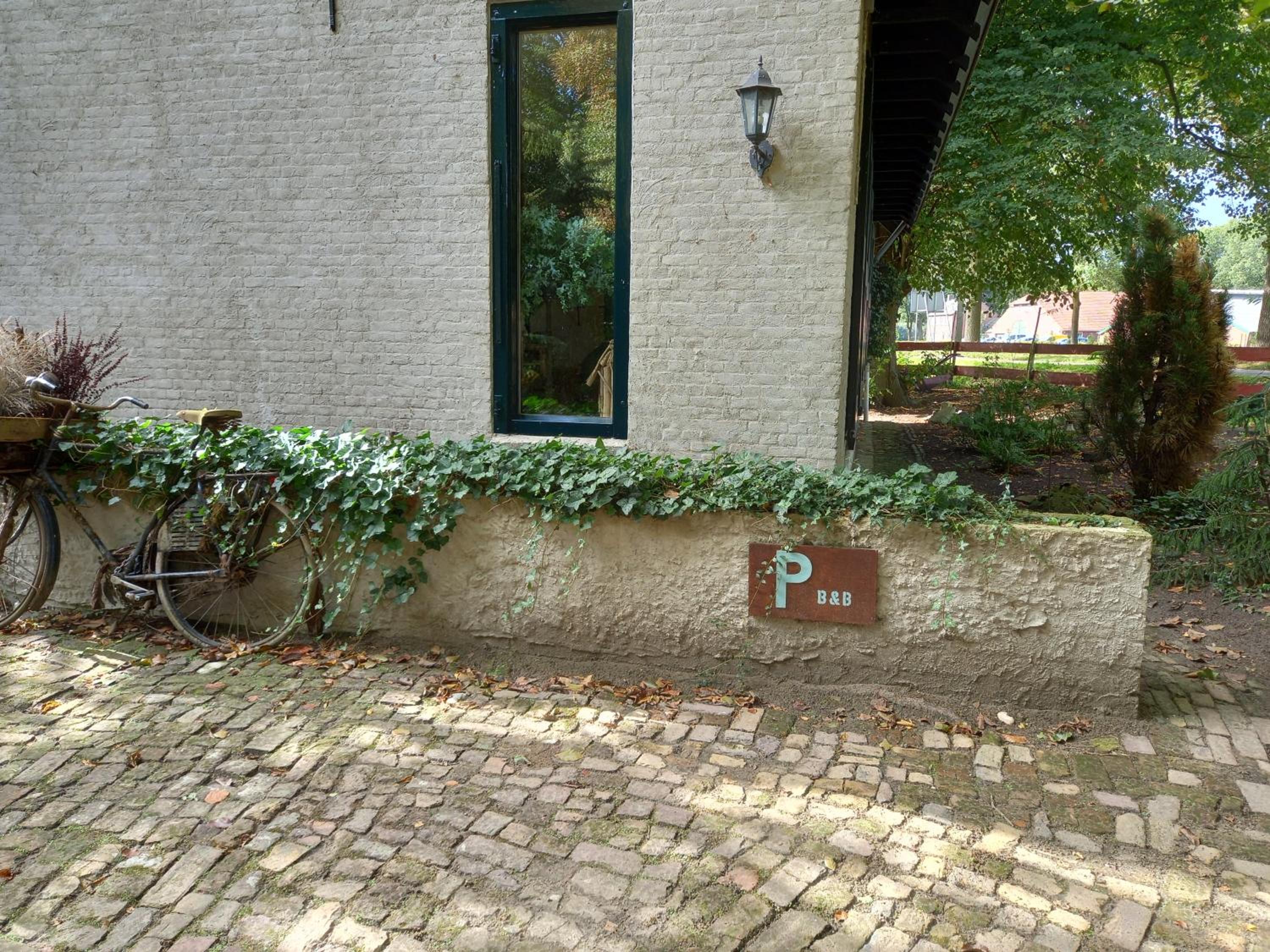 Photo 38