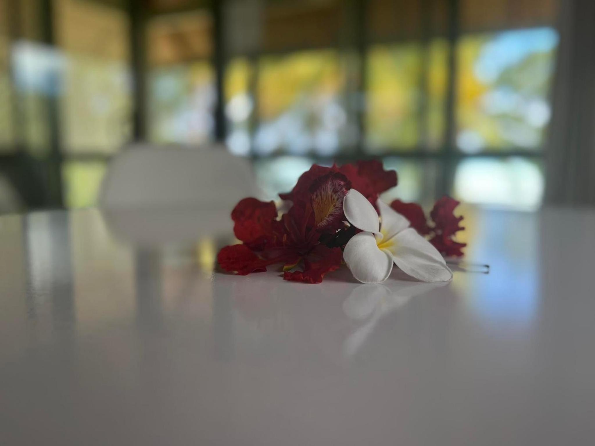 Paparei Beachfront Bungalows, Aitutaki view 4
