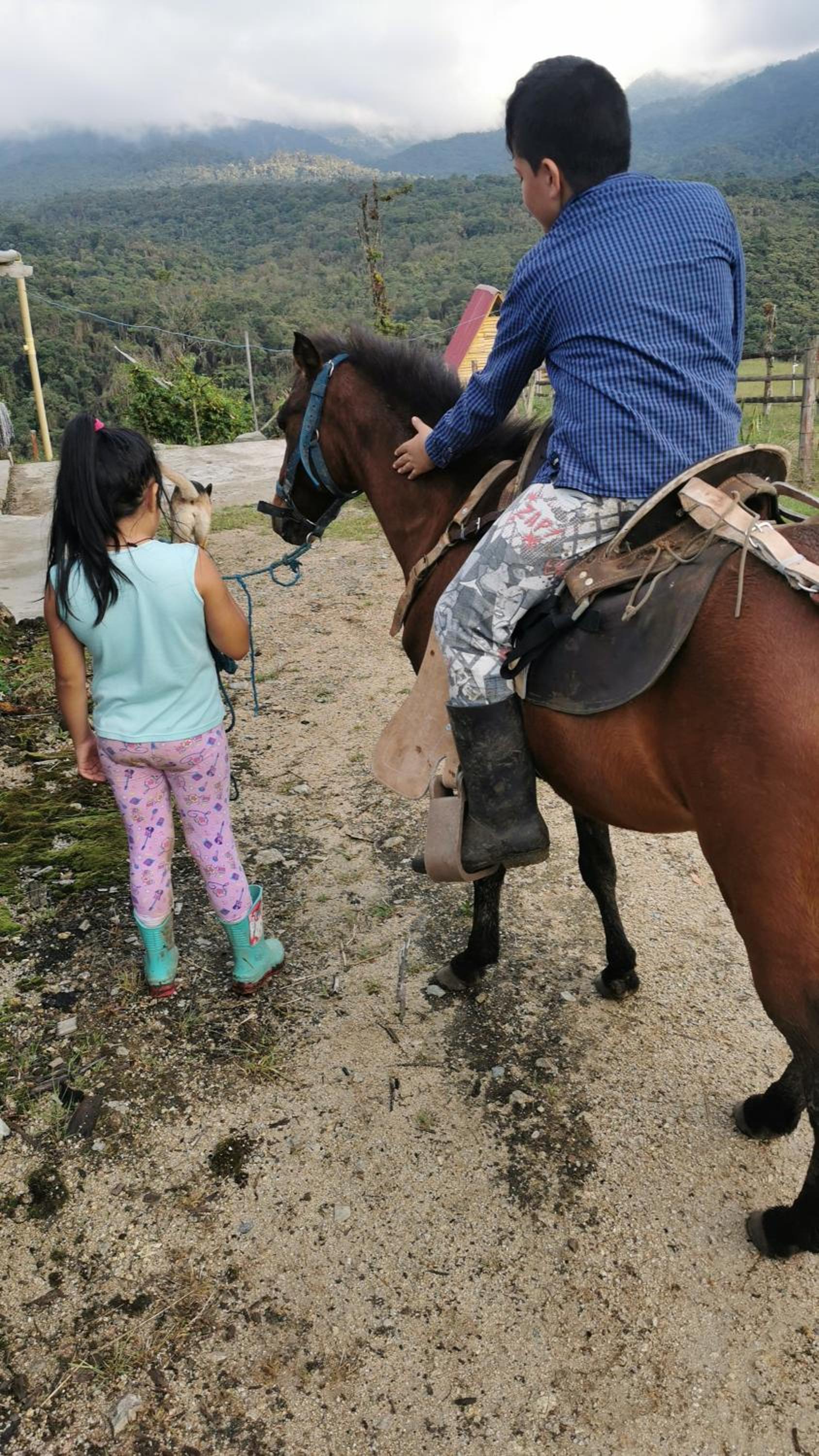 Hostal de la montaña ecoturismo