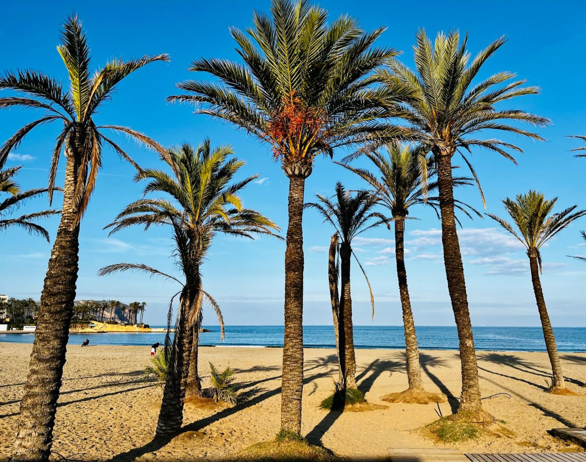 MiMar Jávea