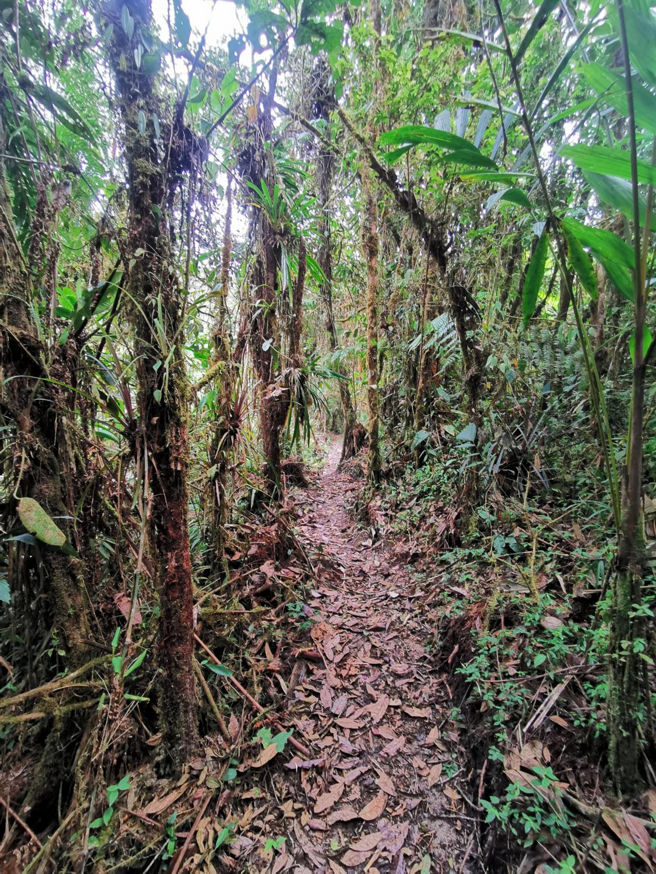 Hostal de la montaña ecoturismo