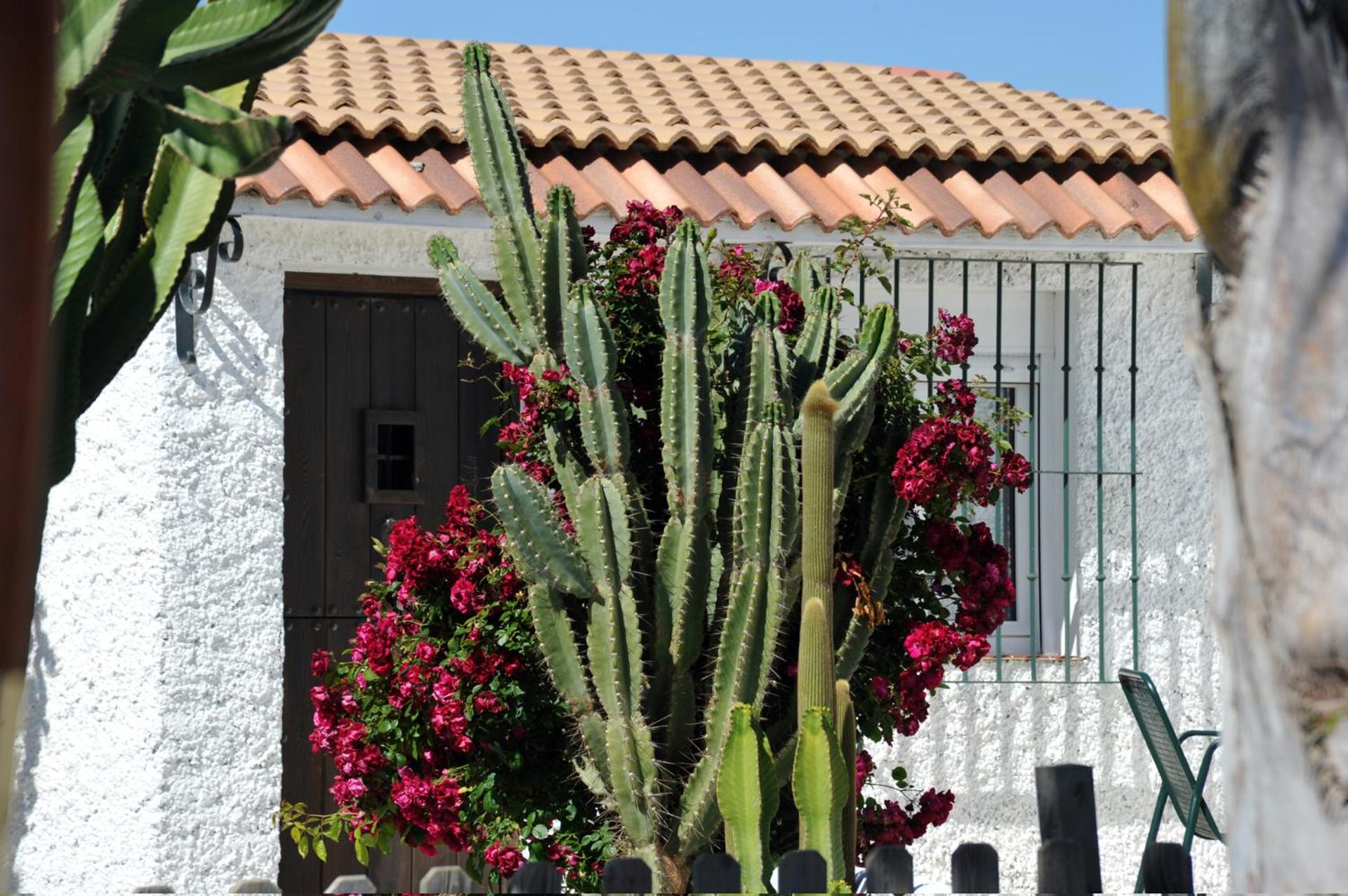 Cortijo Flamingos
