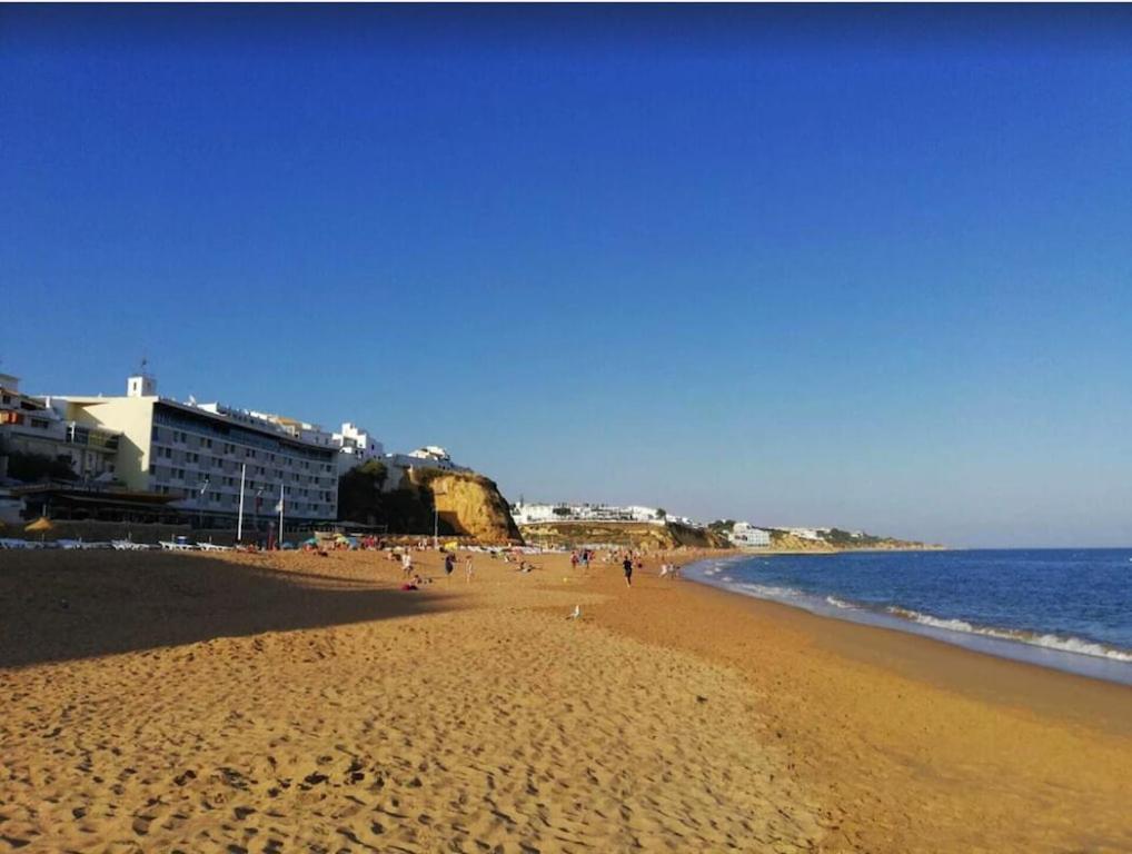 Spacieux Appartement Logis des Fées de la Marina en rez-de-chaussée de chaussée view 3