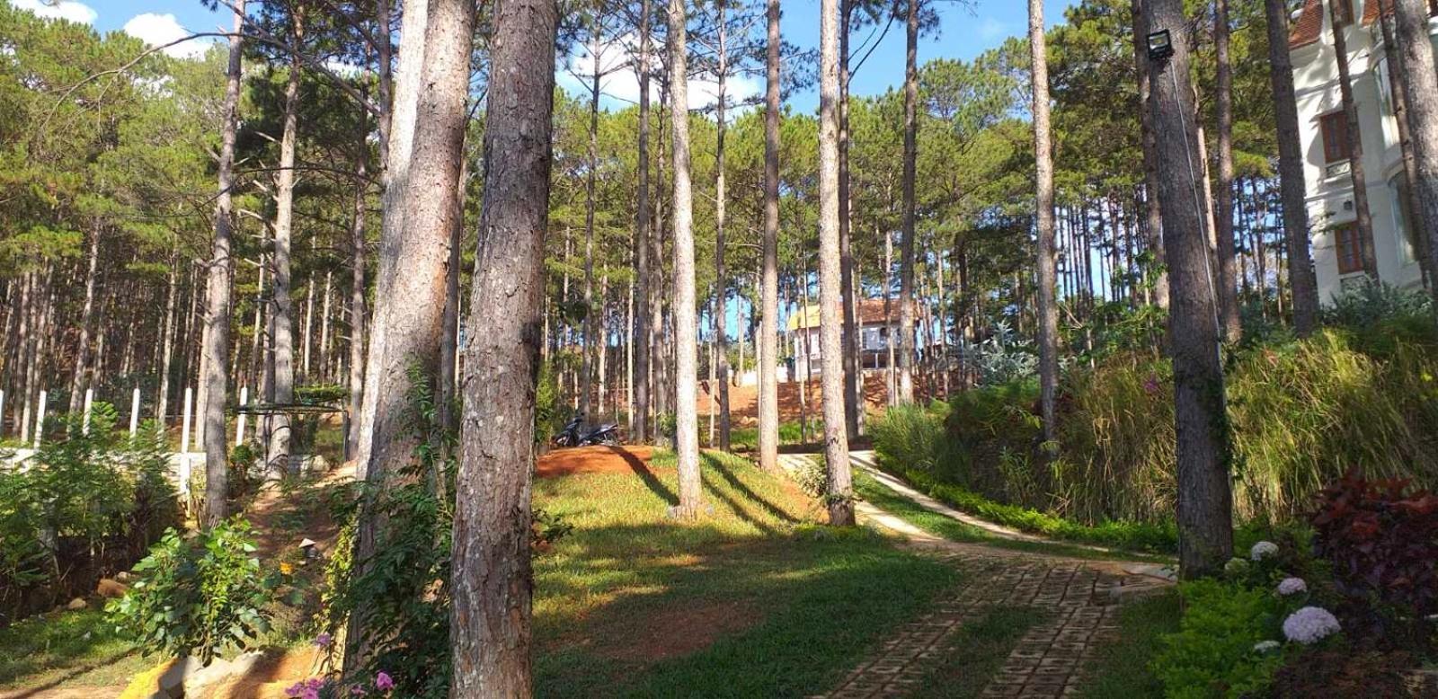 Omirita Resort Dalat