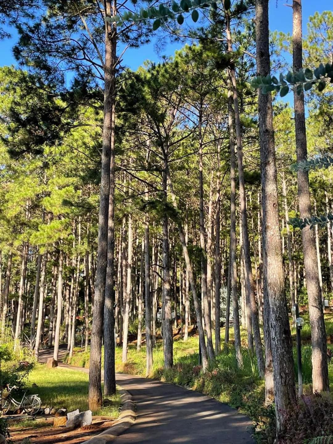 Omirita Resort Dalat