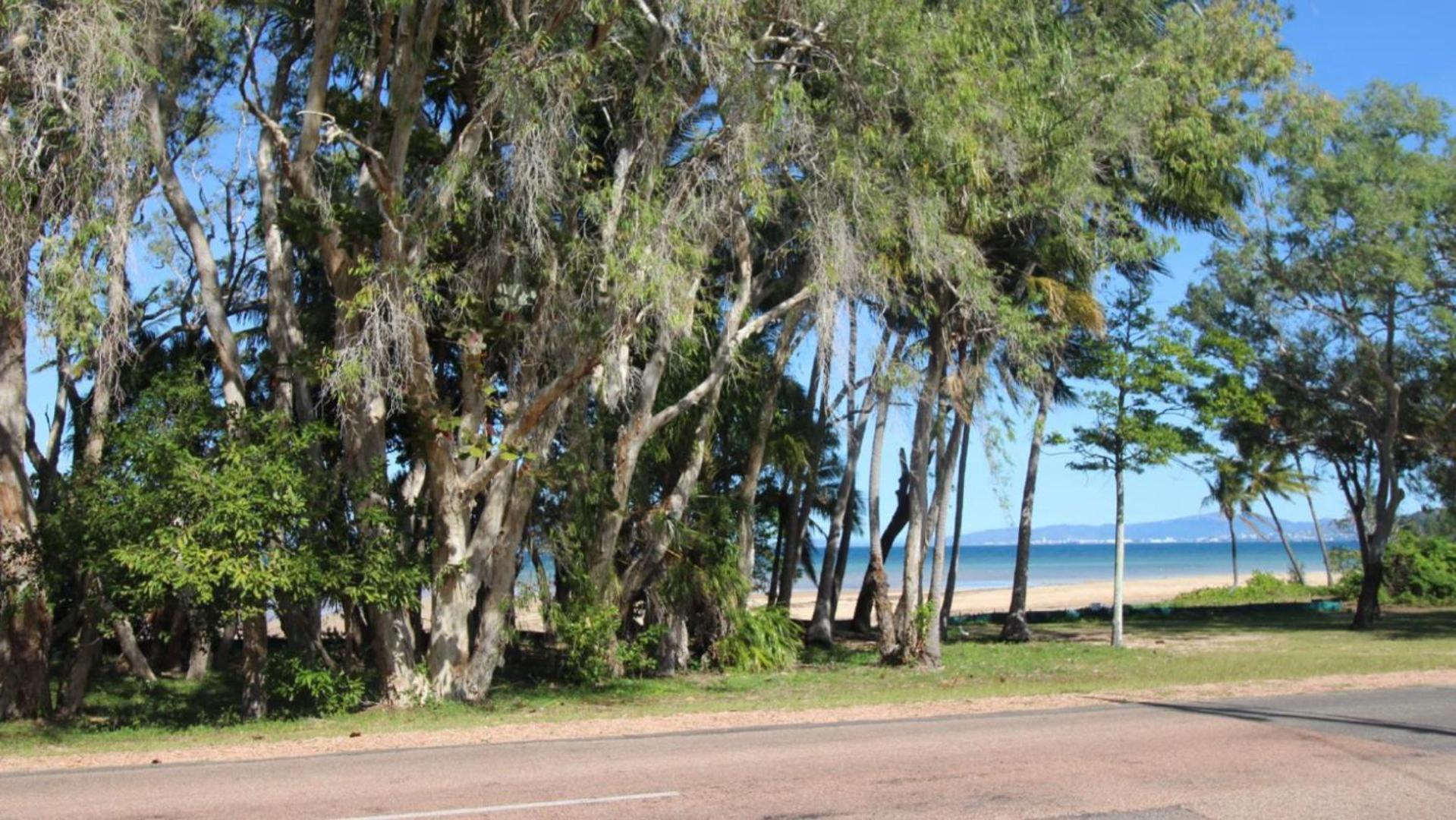 Unit 3 Beachcomber, Arcadia