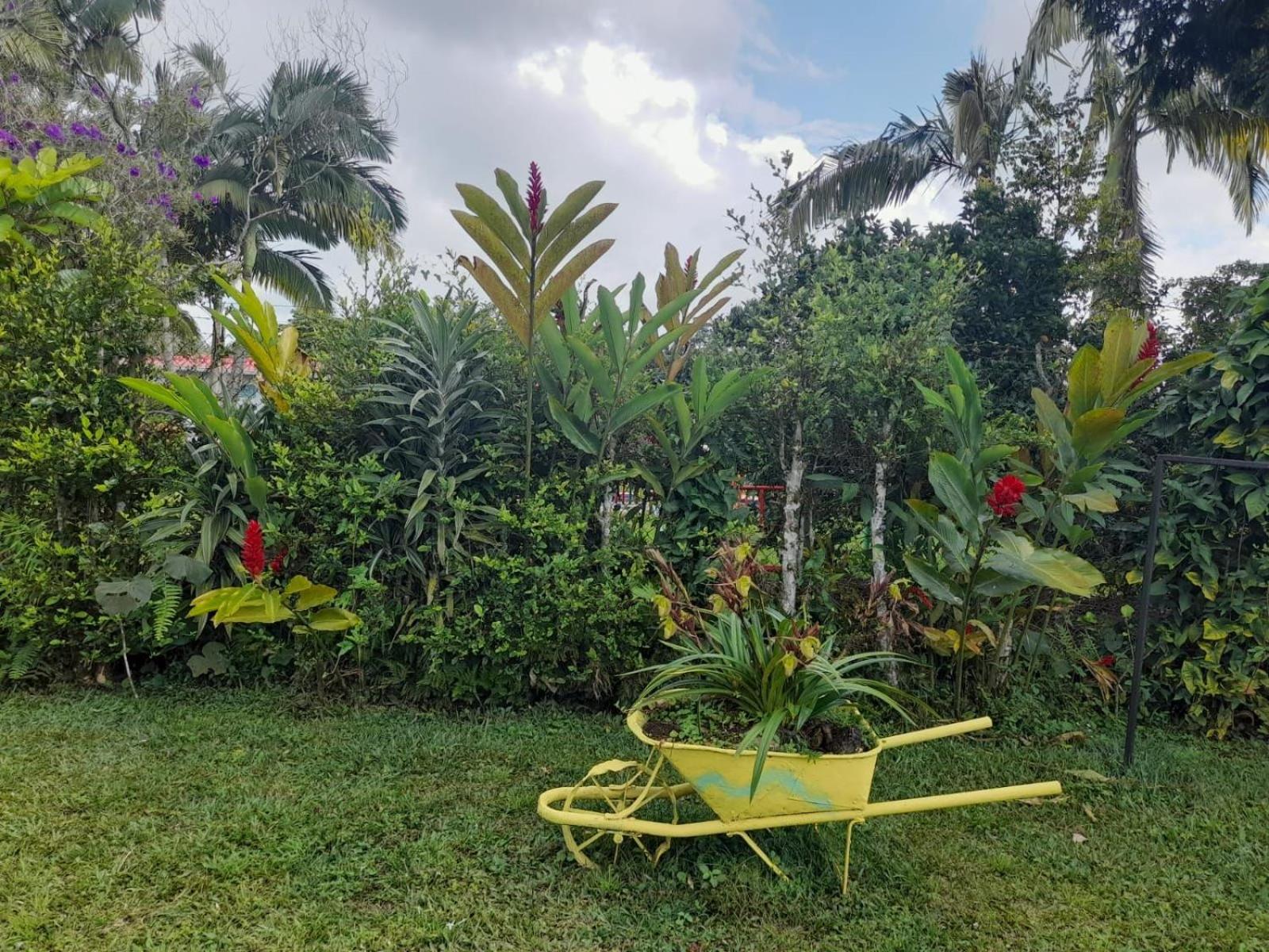 Finca Hotel La Venia Bendita Quindio