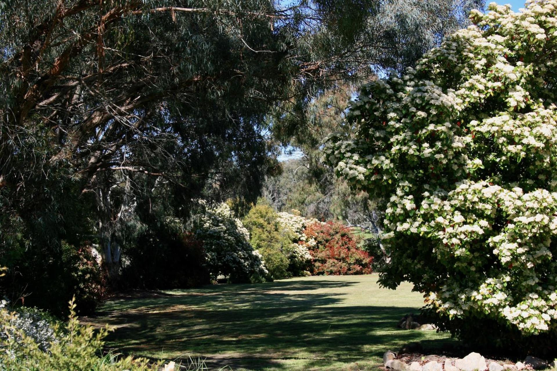 Serena Cottages Beechworth - Your Country Getaway - 2