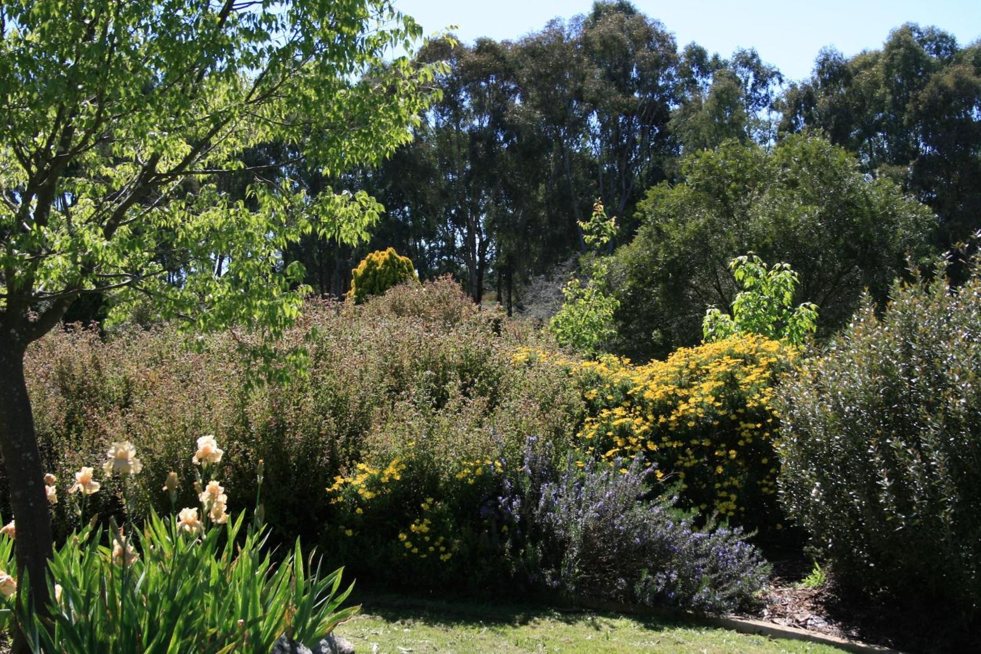 Serena Cottages Beechworth - Your Country Getaway - 2