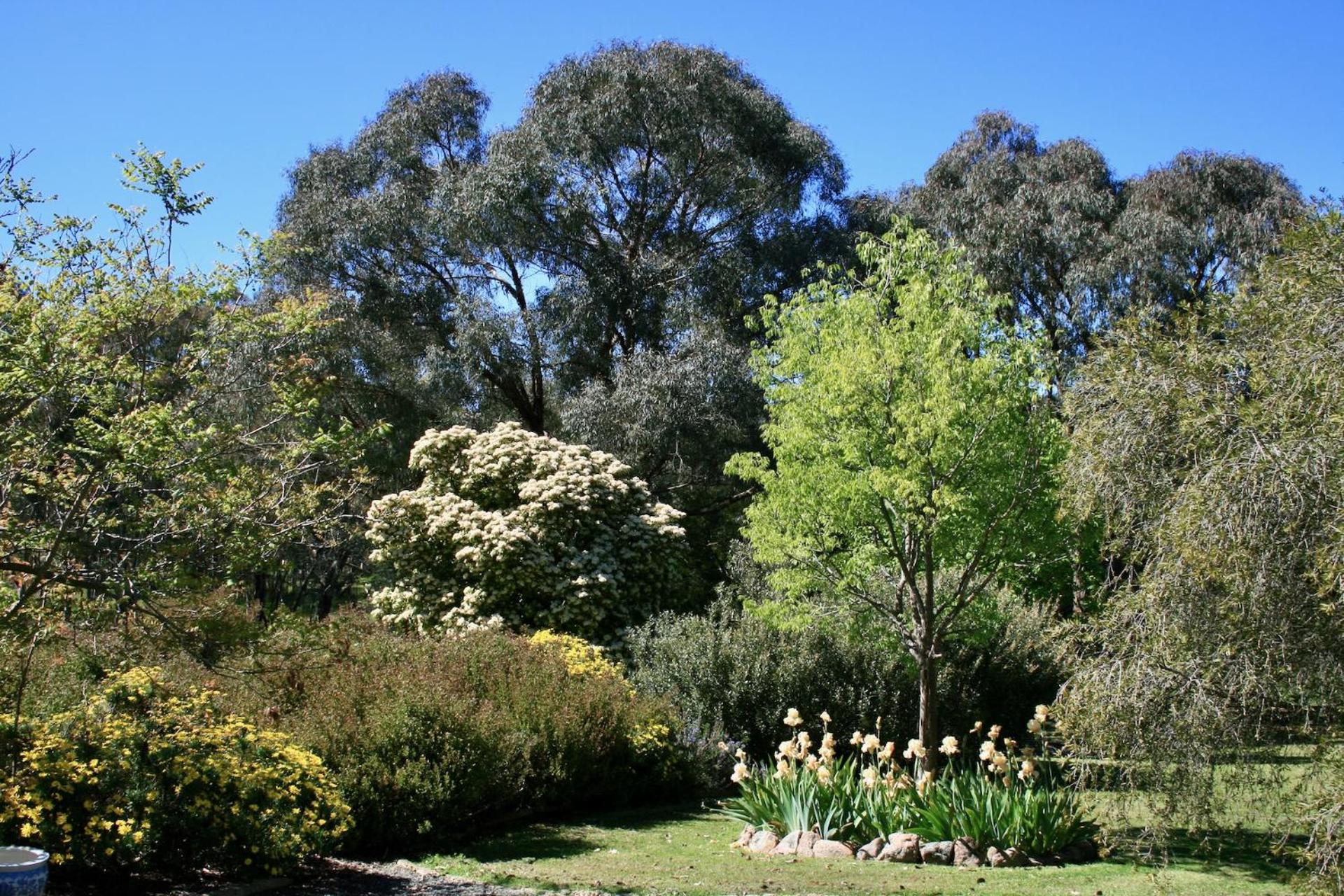 Serena Cottages Beechworth - Your Country Getaway - 2