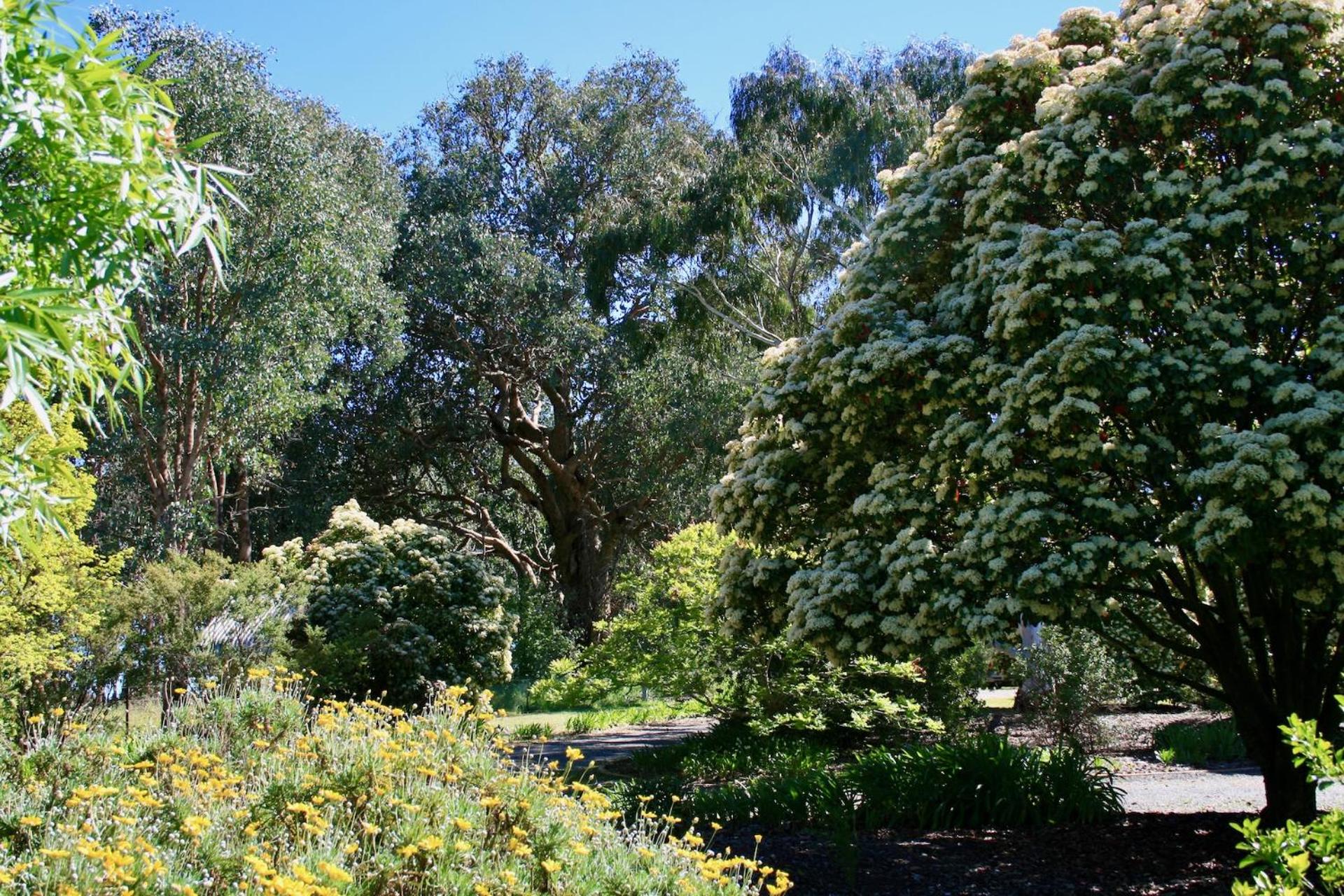 Serena Cottages Beechworth - Your Country Getaway - 2