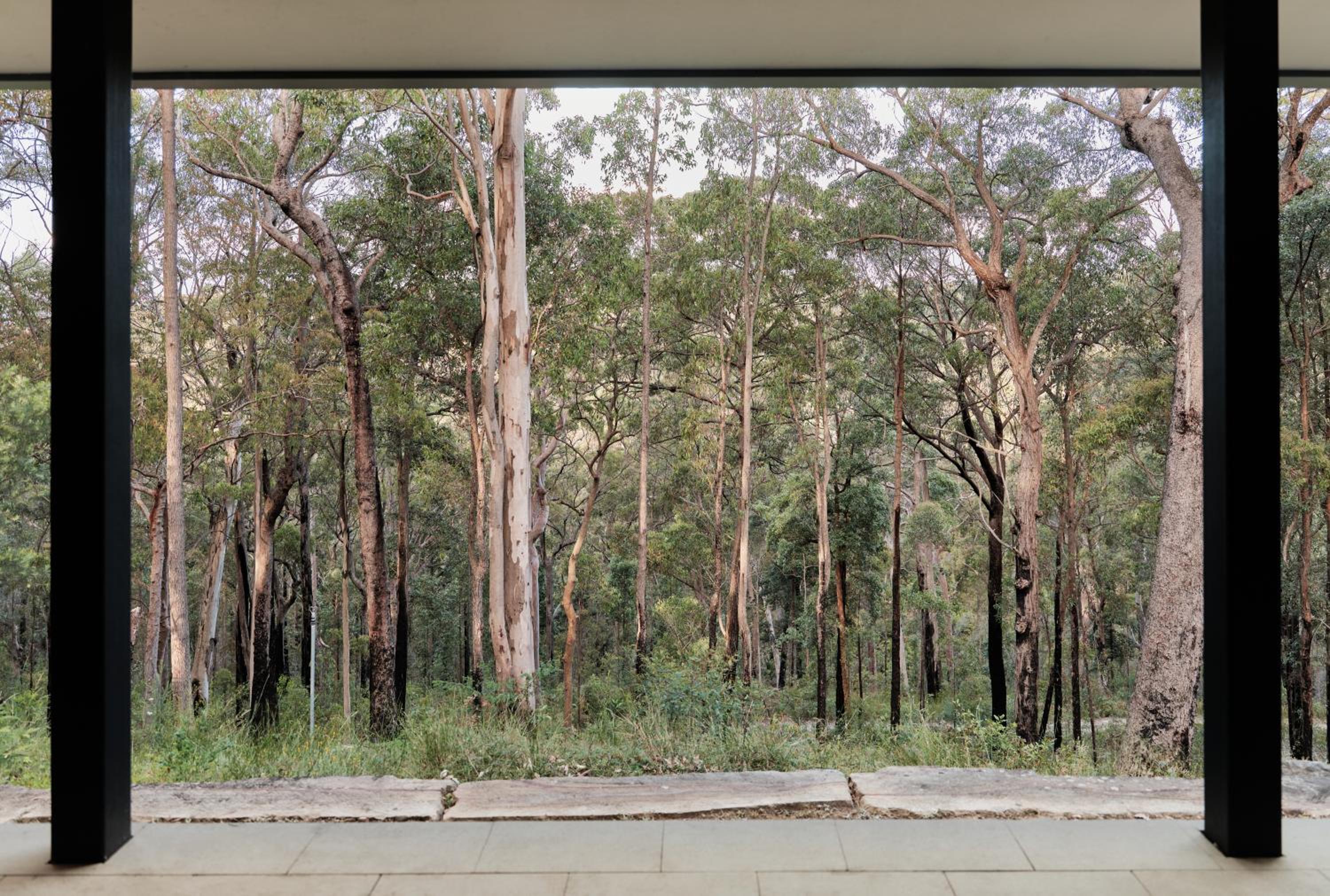 Tootie Creek House at Koala Gully