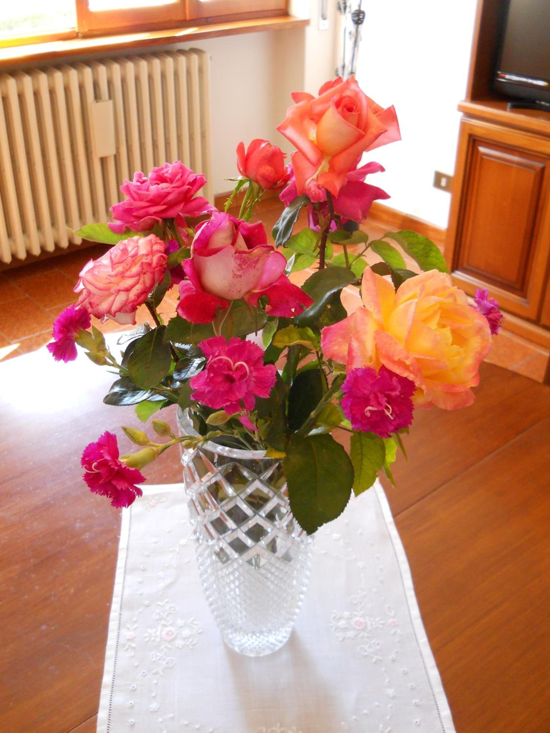 Photo 28
