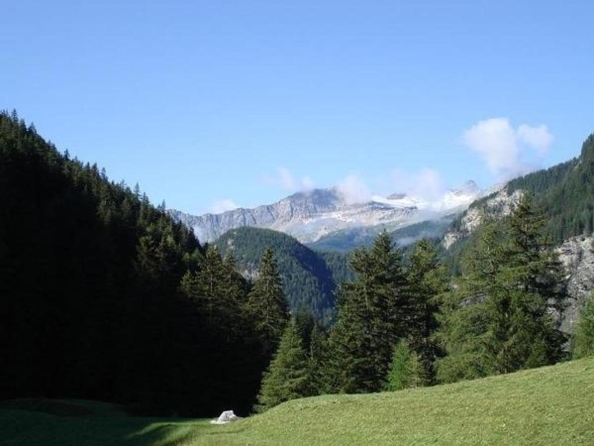 Sunny, rustical 5 room cottage in Valposchiavo