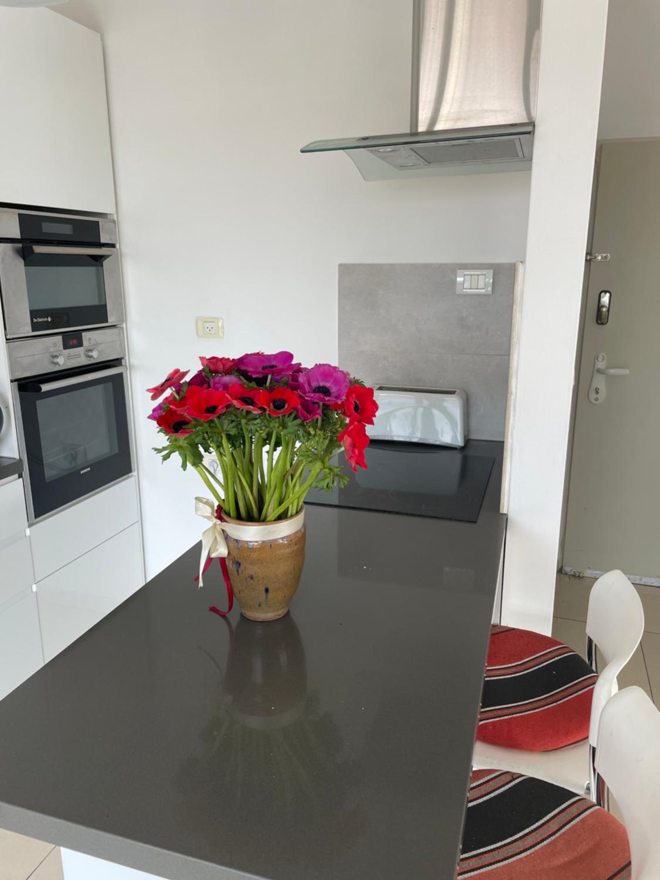 Gorgeous duplex in heart of Jerusalem