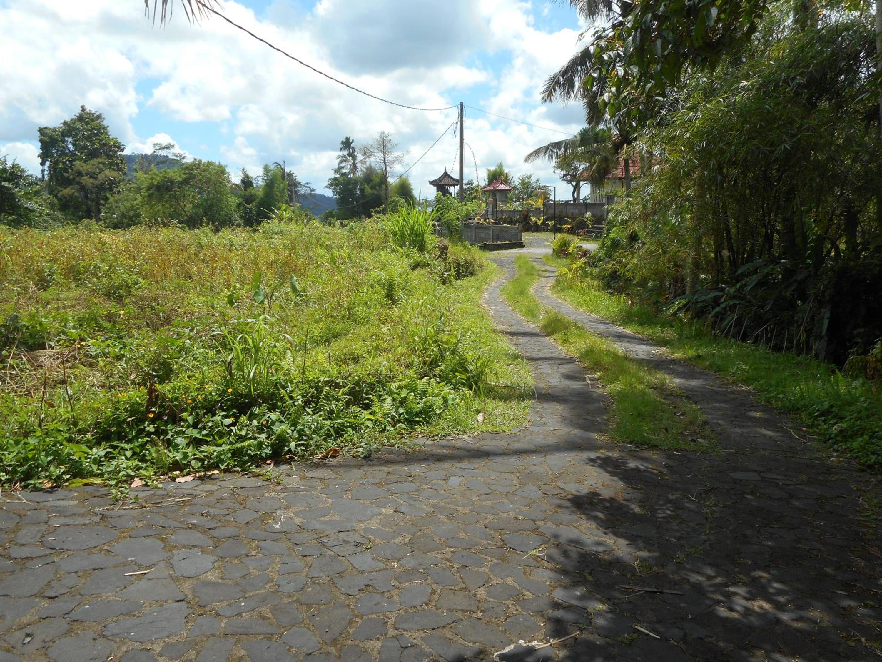 Photo 38
