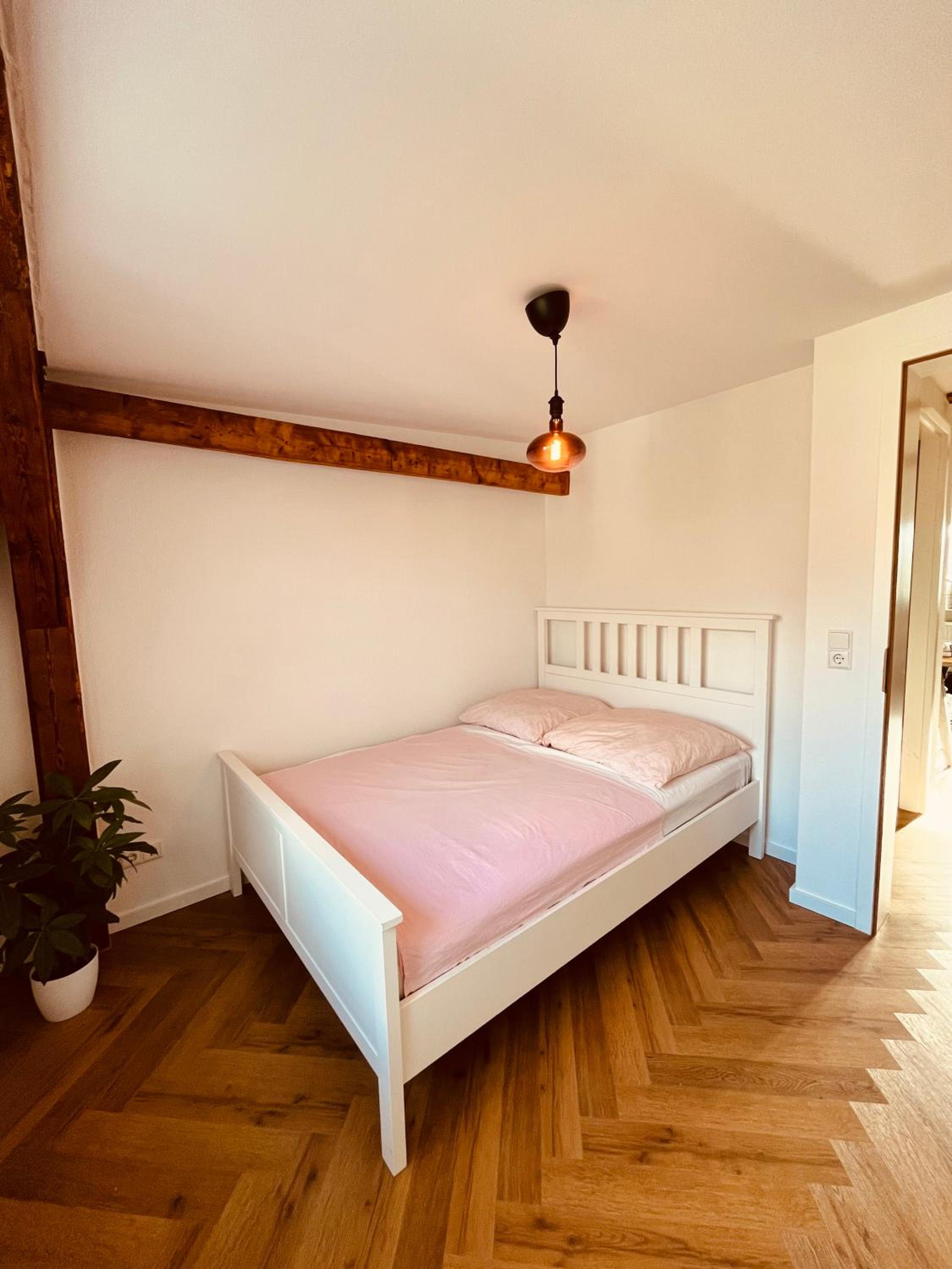 Jugendstil-Altbauwohnung mit Dachterrasse direkt an der Karlsaue