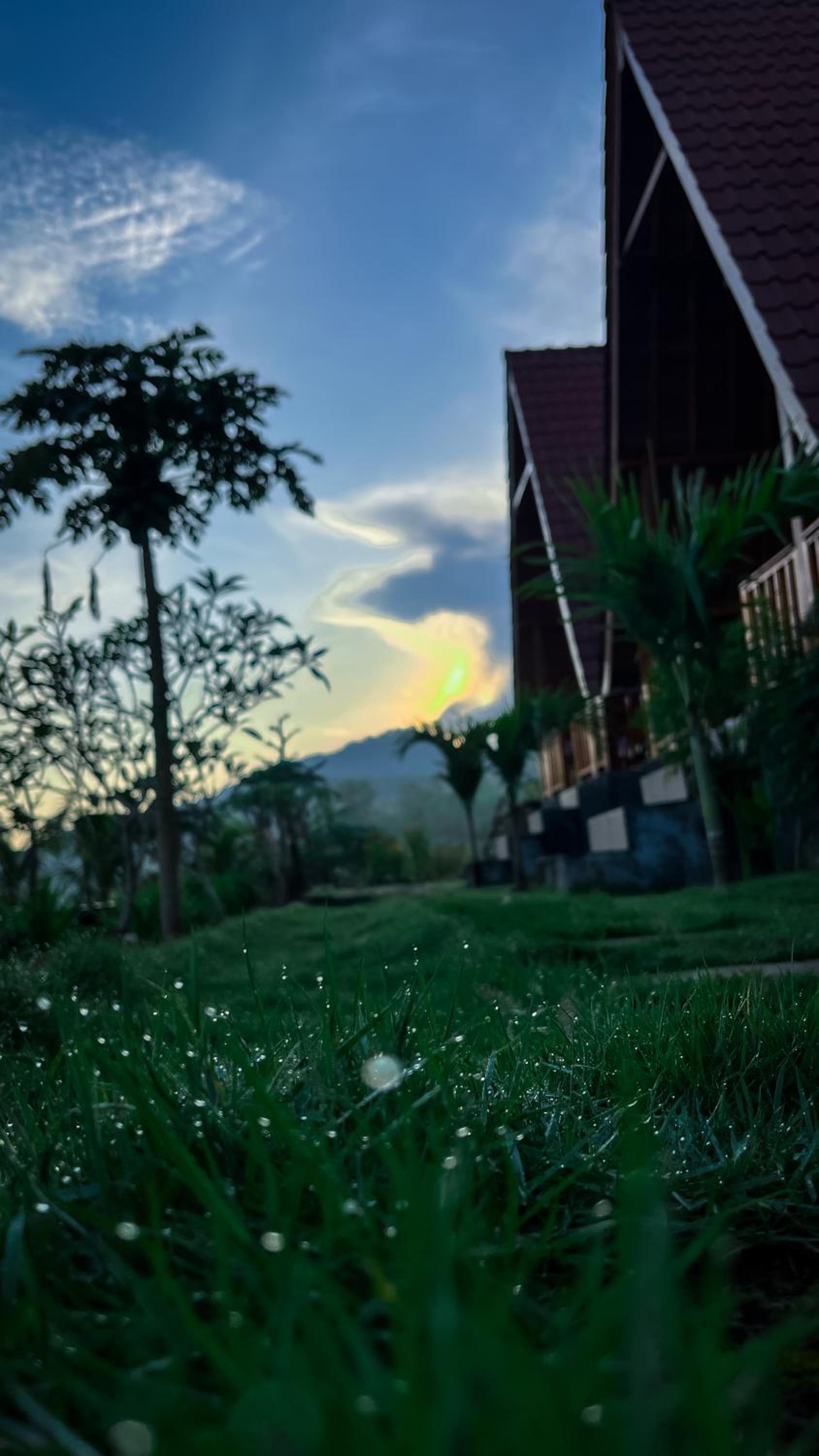 dbelish village & resto view 2