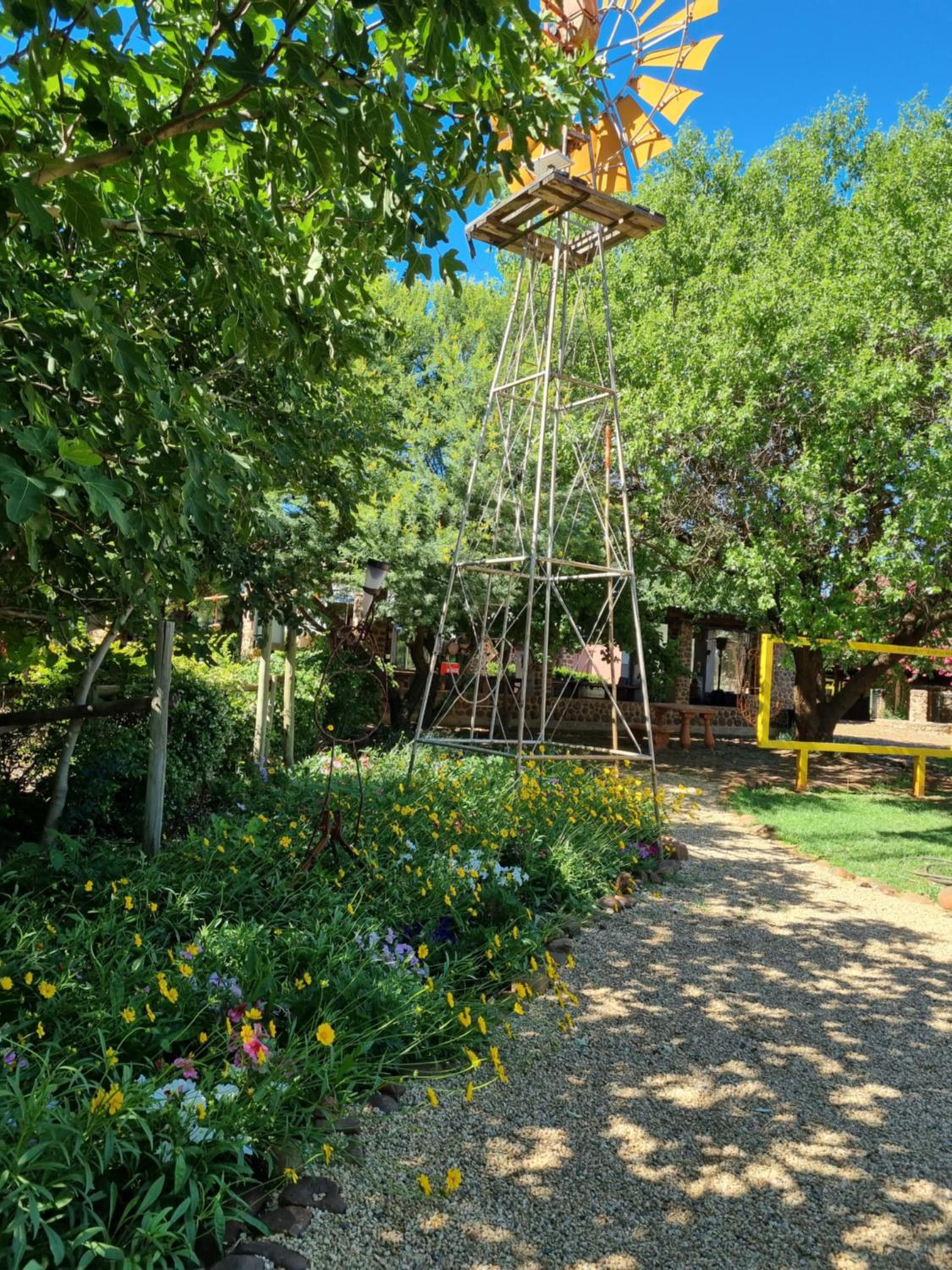 Hollybrooke Adventure Farm