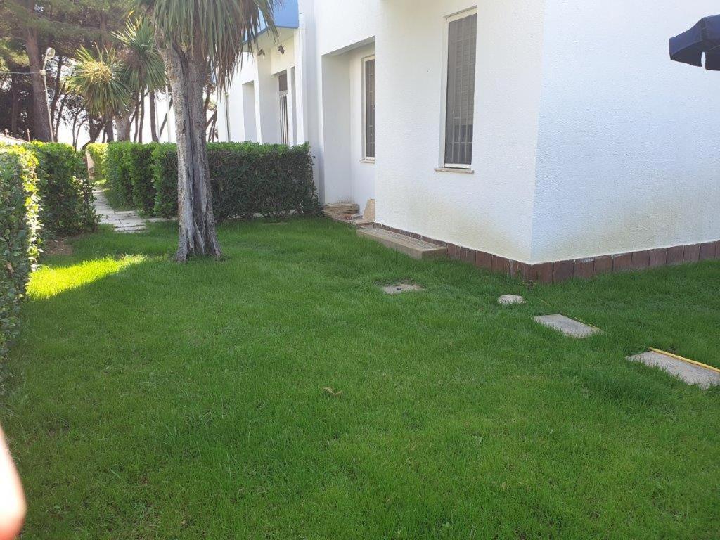 Photo 30