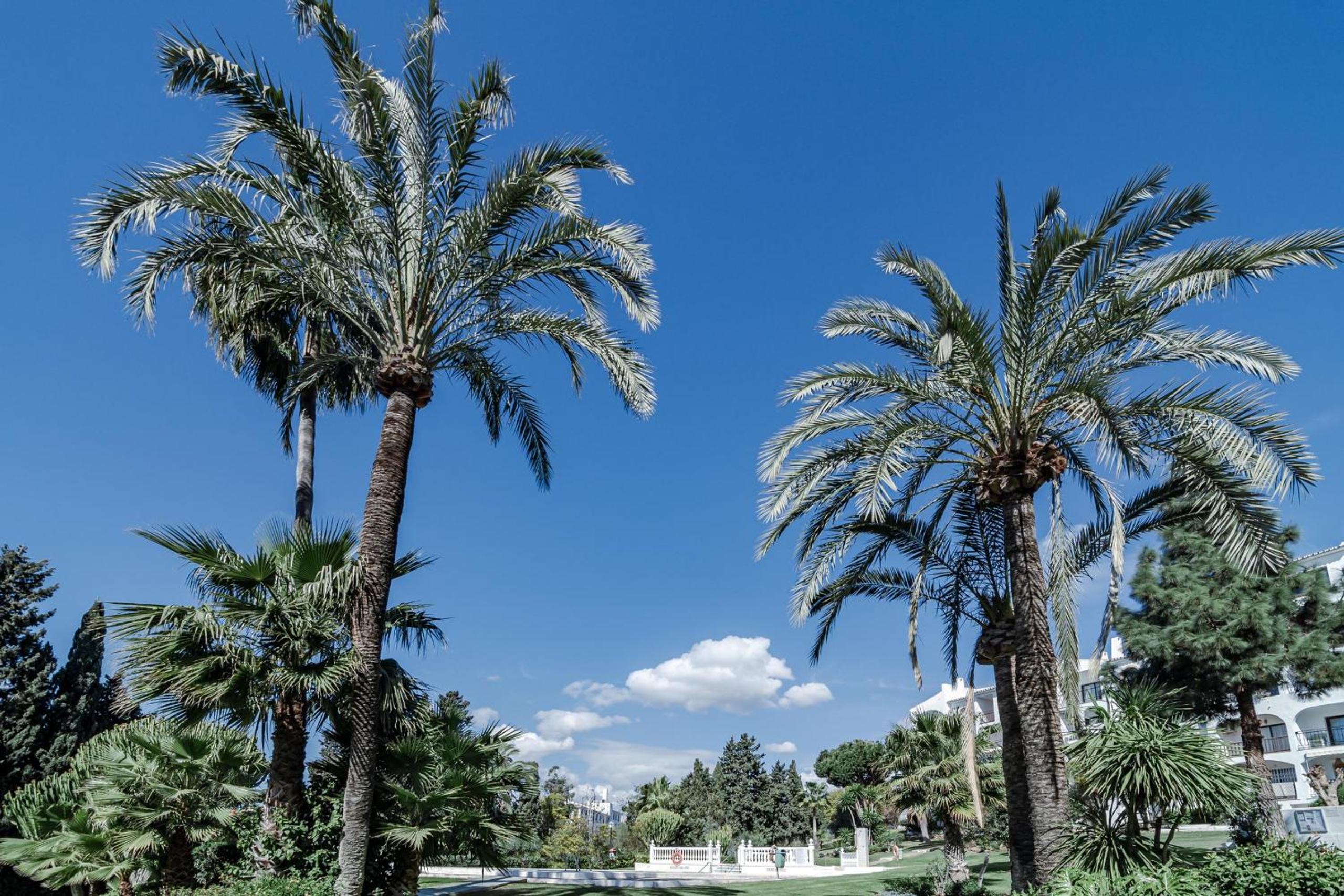 Riviera del Mar by Alfresco Stays