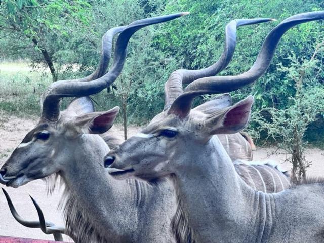 Turaco Lodge - No Loadshedding