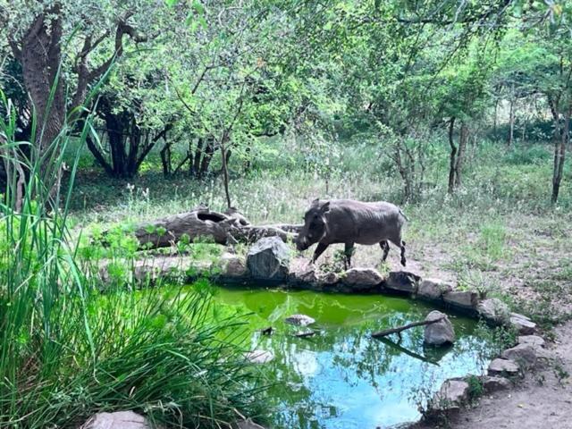 Turaco Lodge - No Loadshedding