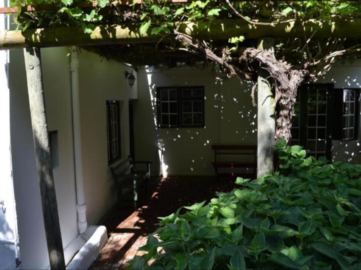 The Oil Mill Guesthouse view 5