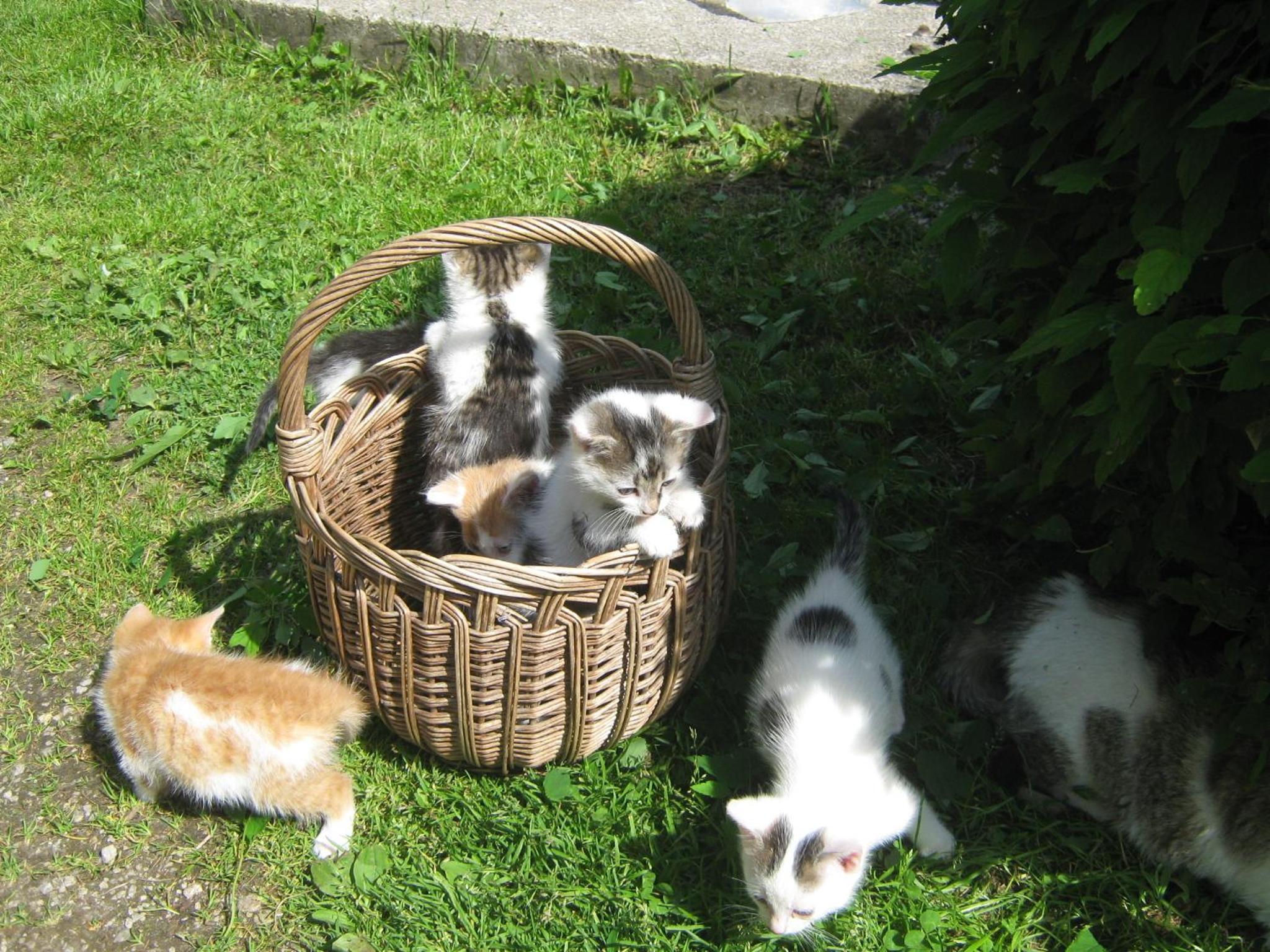 Photo 14