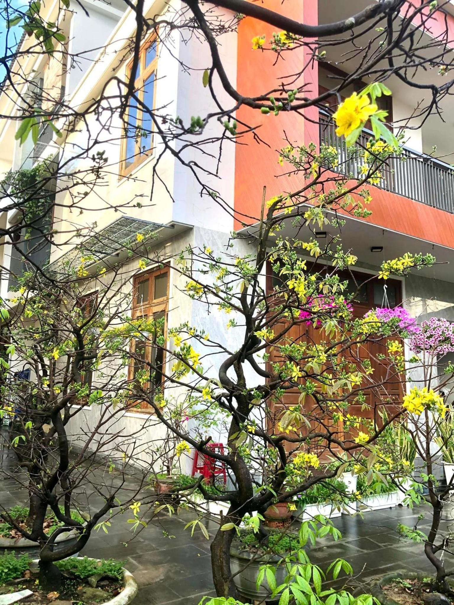 Homestay Phương House