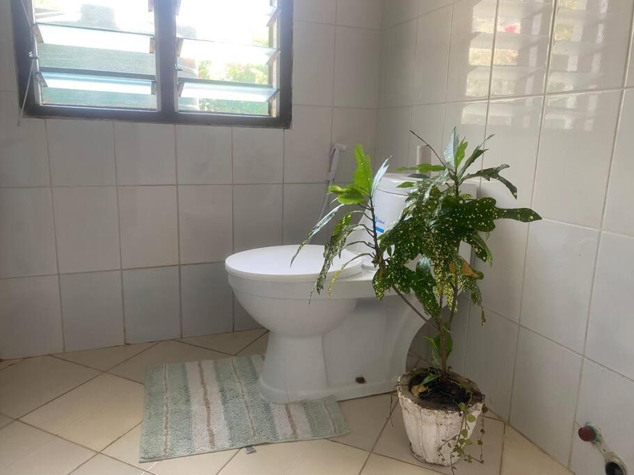 Garden view apartment