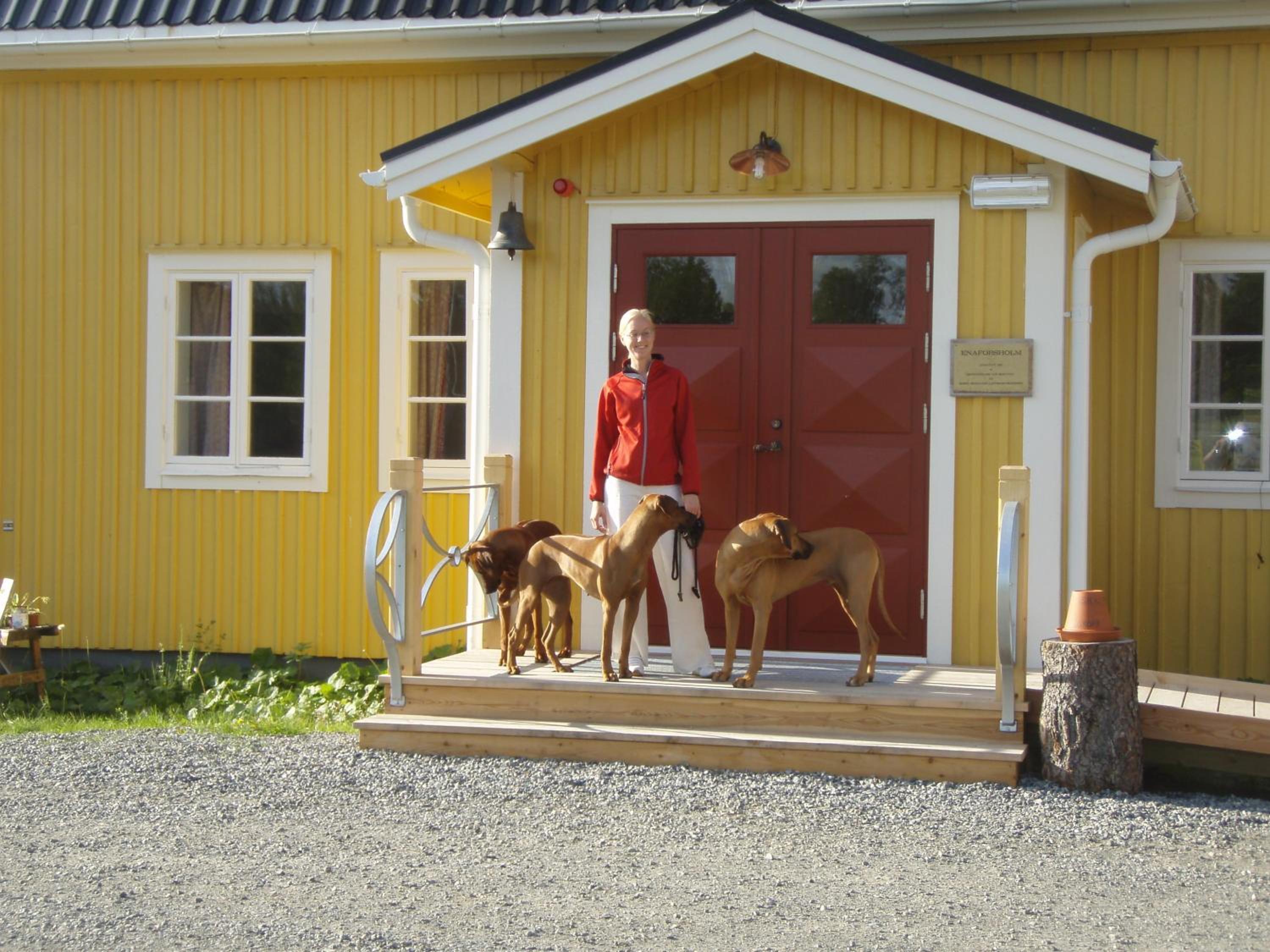 Enaforsholm Fjällgård