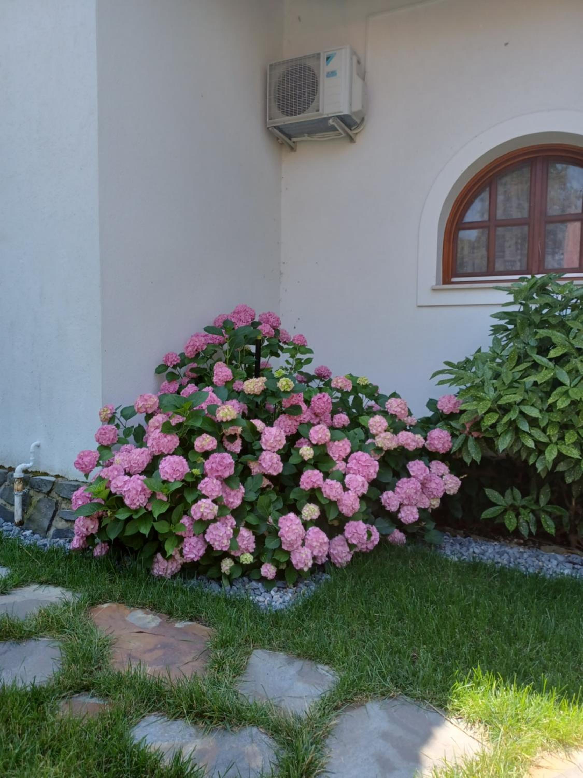 Photo 56