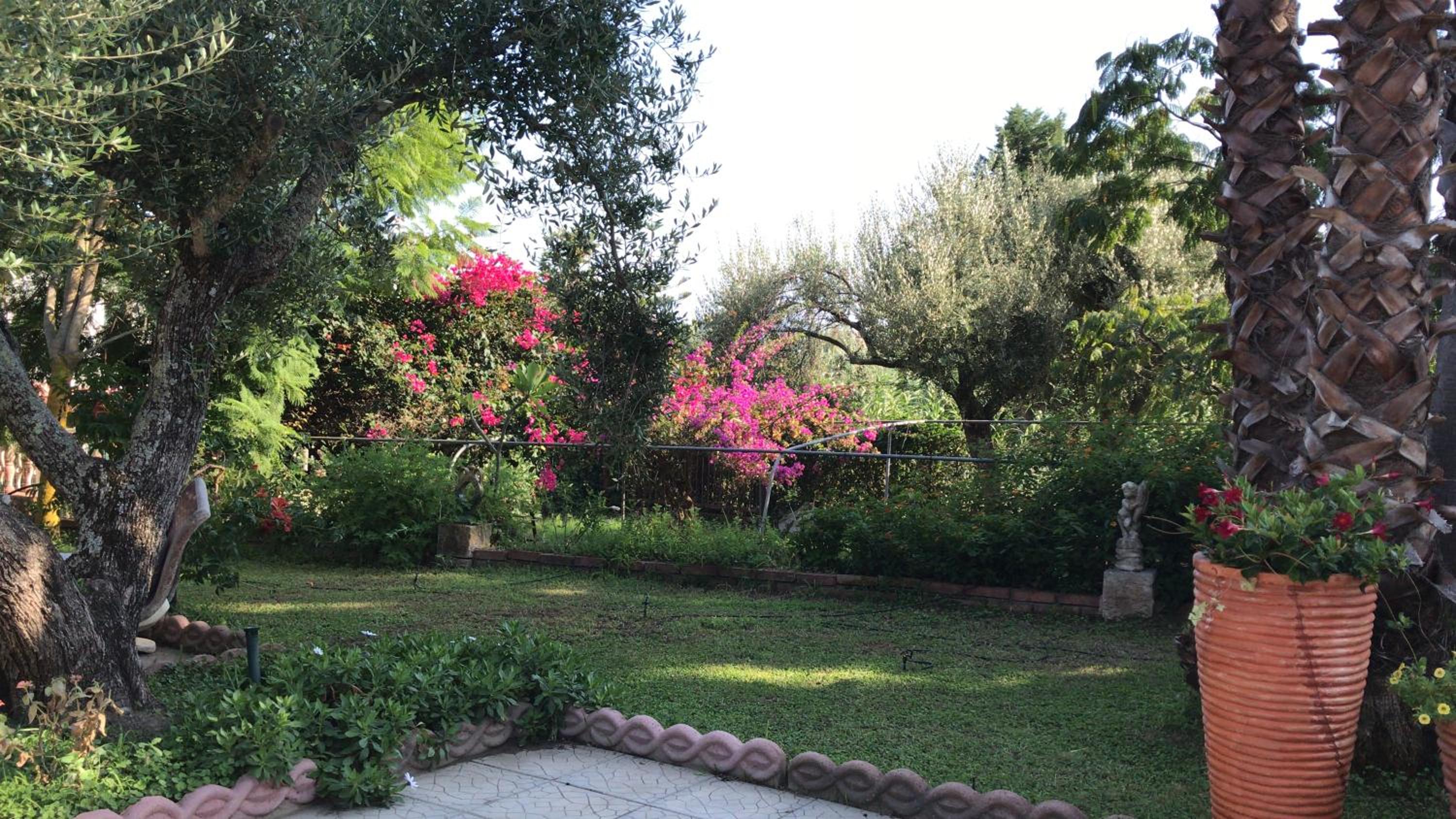 Casa Ulivi