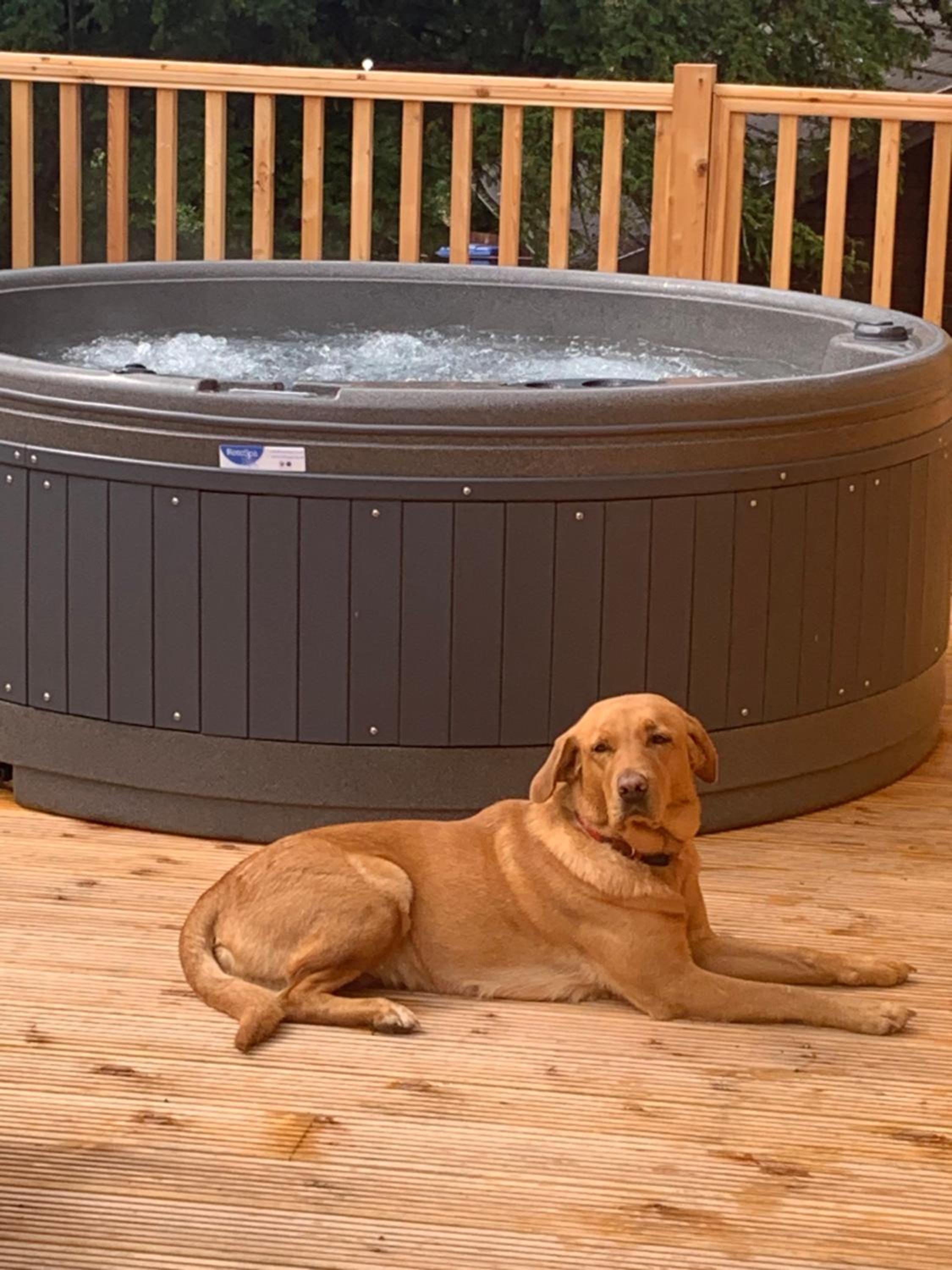 Lord Galloway 36 with Hot Tub view 4