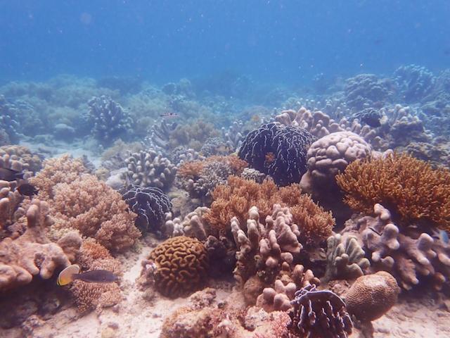 Photo 27