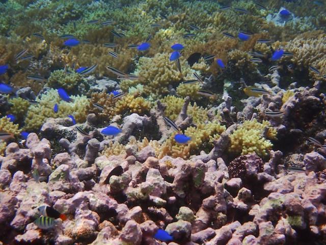 Photo 26