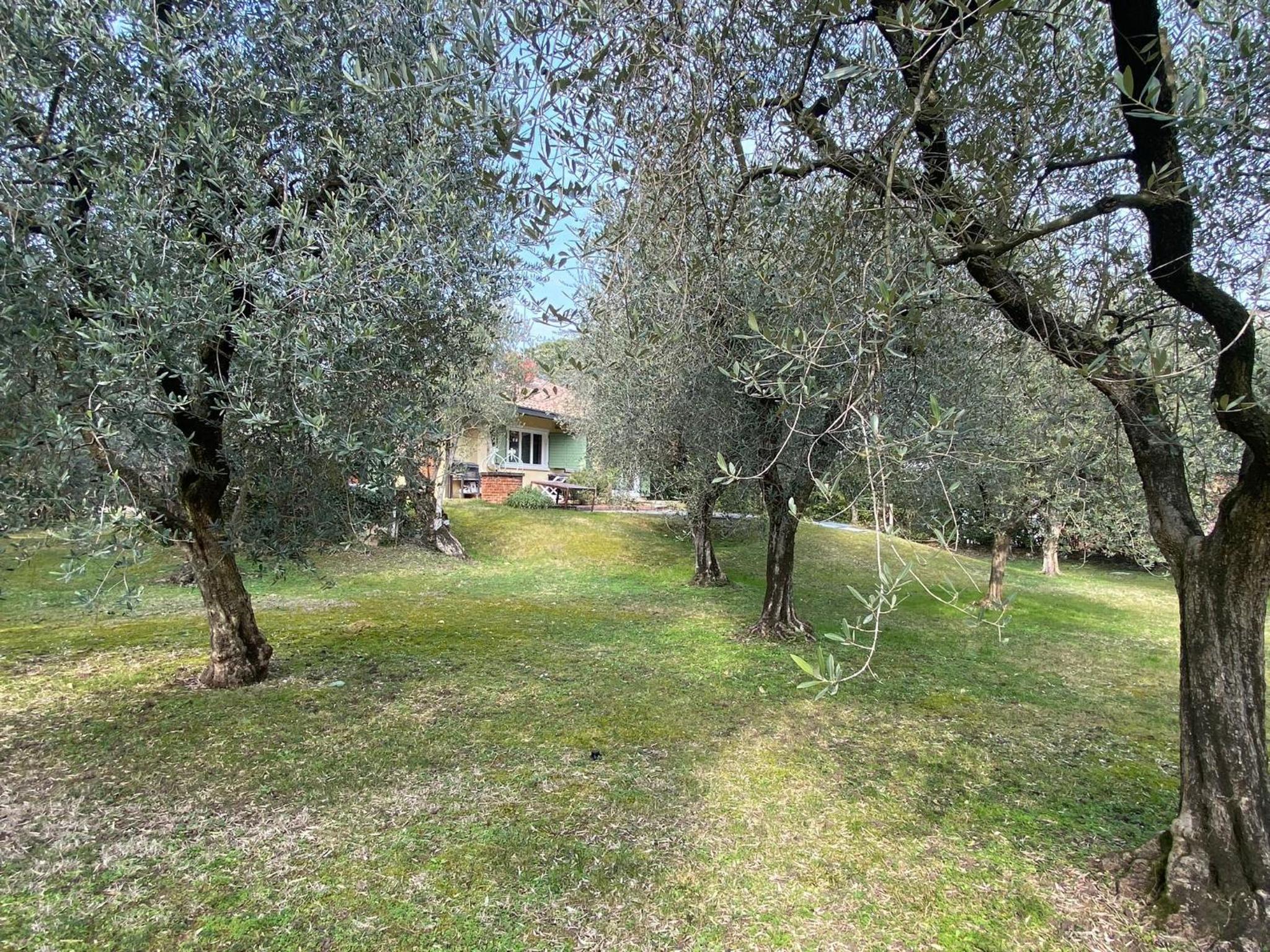 Photo 42